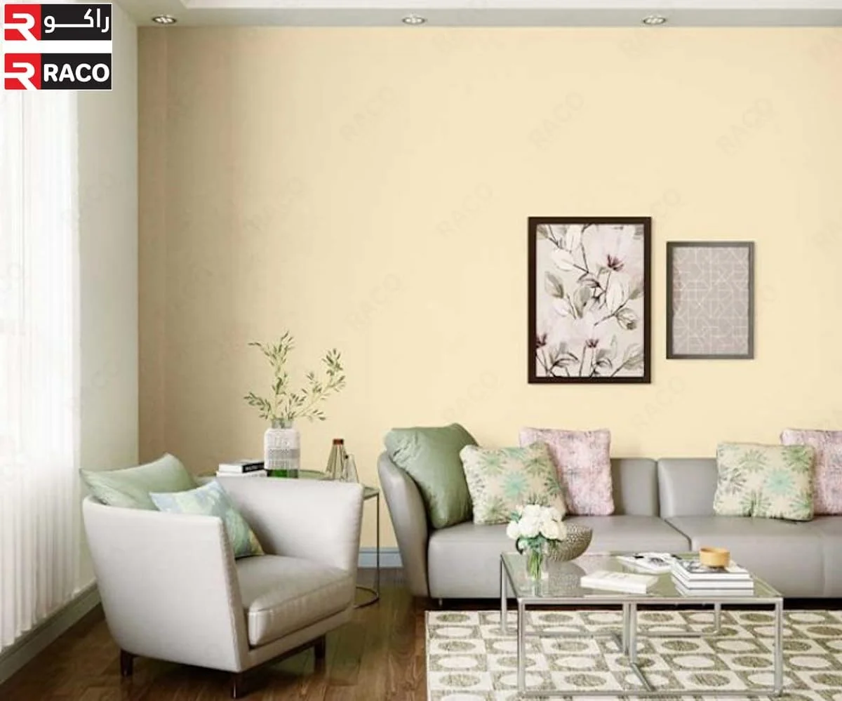 بتونه پایه آب سفید رنگ Raco Asianpaints Berger Value Stucco Extra Mix (حجم 1 گالن امریکایی)