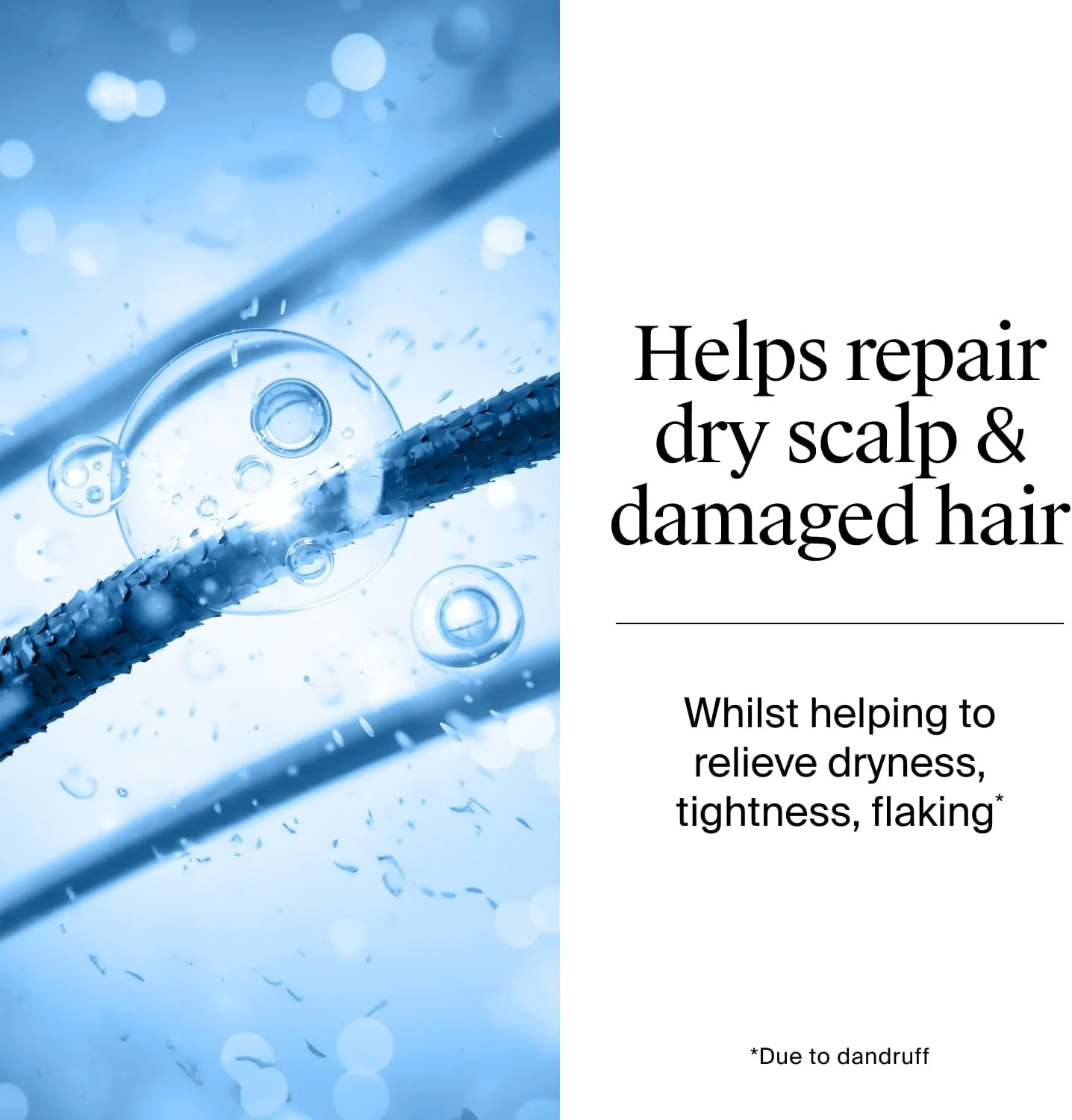 شامپو ضد شوره نوتروژینا T/Gel برای موهای خشک (1x 250ml)، شامپو روزانه ضد شوره با اسید سالیسیلیک، شامپو پاک کننده برای کمک به ترمیم موهای خشک و آسیب دیده و مبارزه با شوره سر از اولین شستشو شامپو ضد شوره نوتروژینا T/Gel برای موهای خشک (1x 250ml)، شامپو روزانه ضد شوره با اسید سالیسیلیک، شامپو پاک کننده برای کمک به ترمیم موهای خشک و آسیب دیده و مبارزه با شوره سر از اولین شستشو