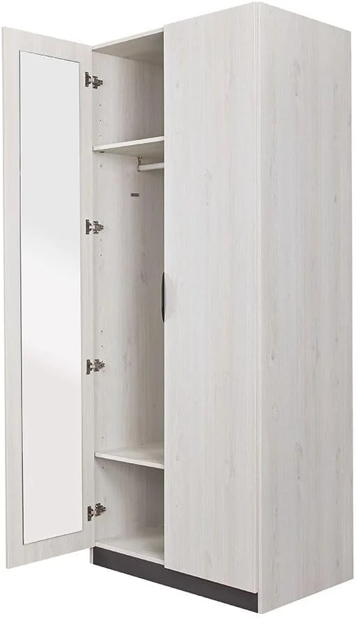 کمد لباس دو درب دانوب هوم مدل Pletora با آینه داخلی | کمد لباس محکم | کابینت درب دار مدرن و صرفه جویی در فضا برای اتاق خواب، ابعاد L91.6xW59.5xH216 سانتی متر - بلوط خاکستری
