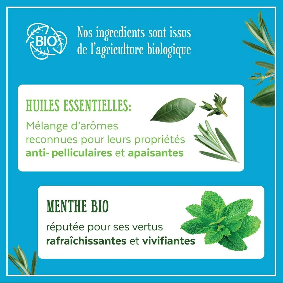 شامپو ضد شوره سر لو پتی مارسیلیس حاوی روغن نعناع