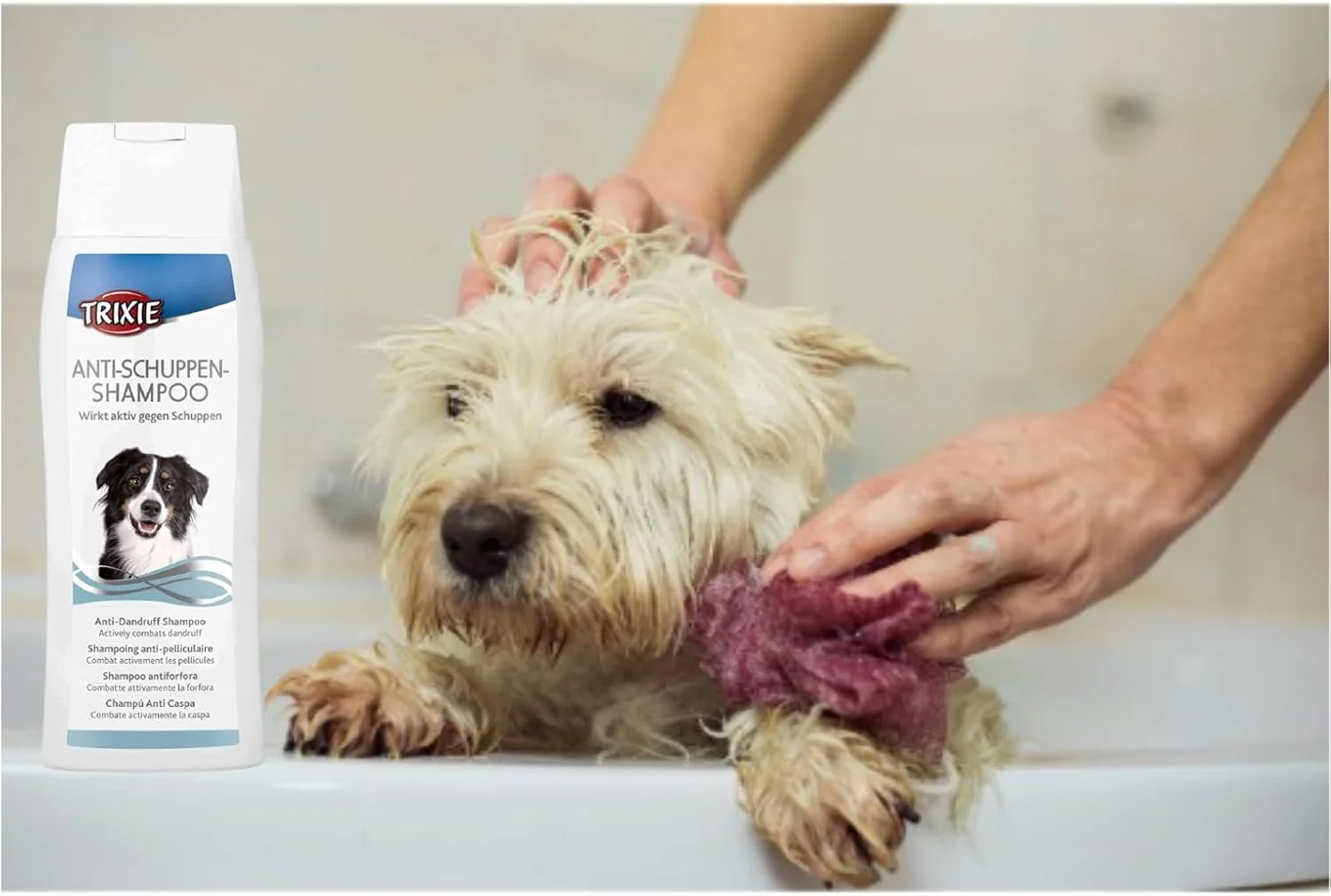 تریکسی: شامپو ضد شوره | شامپو ضد شوره سگ | درمان ضد شوره | گره های مو را باز می کند و موها را خوش حالت می کند، به مبارزه با تشکیل شوره سر کمک می کند - 250 میلی لیتر