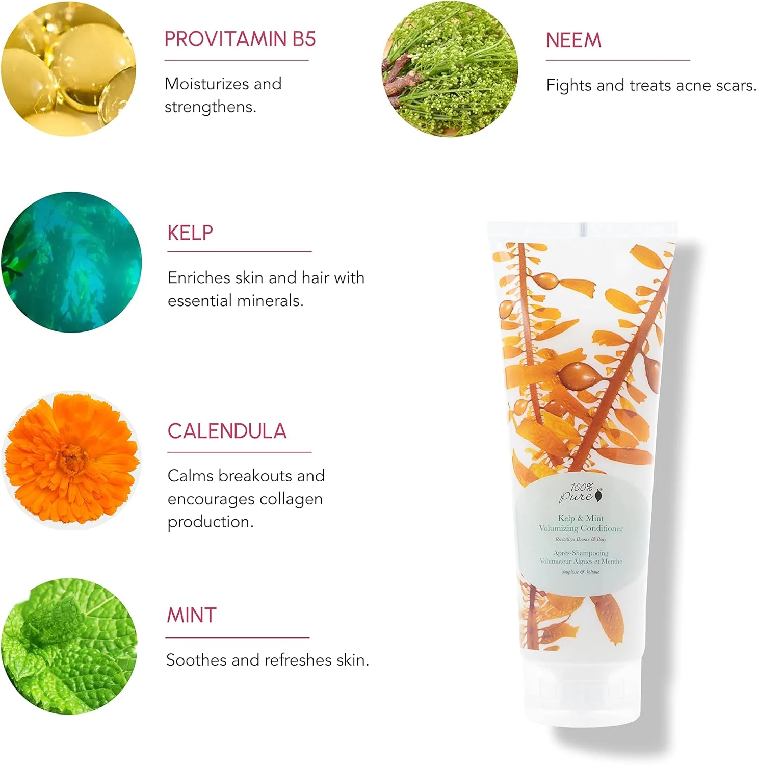 نرم کننده حجم دهنده جلبک دریایی و نعناع 100% خالص (236 میلی لیتر)، نرم کننده بدون سولفات، مغذی، برای ضخیم شدن مو، نرم کننده ارگانیک برای رشد مو نرم کننده حجم دهنده جلبک دریایی و نعناع 100% خالص (236 میلی لیتر)، نرم کننده بدون سولفات، مغذی، برای ضخیم شدن مو، نرم کننده ارگانیک برای رشد مو