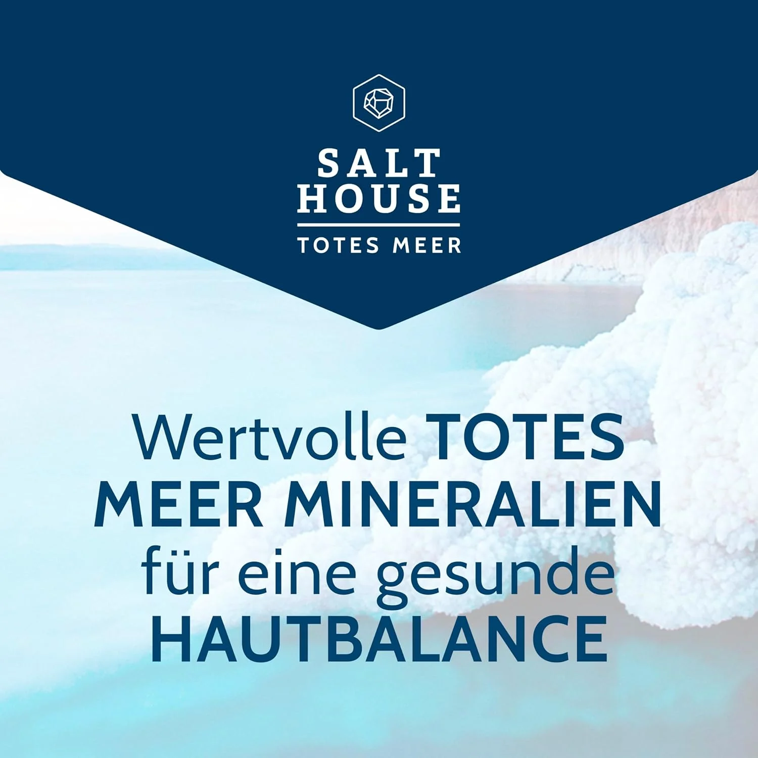 شامپو ضد ریزش مو Salthouse Dead Sea Therapy، کافئین خالص طبیعی برای موهای قوی، تقویت کننده ریشه مو، 250 میلی لیتر شامپو ضد ریزش مو Salthouse Dead Sea Therapy، کافئین خالص طبیعی برای موهای قوی، تقویت کننده ریشه مو، 250 میلی لیتر