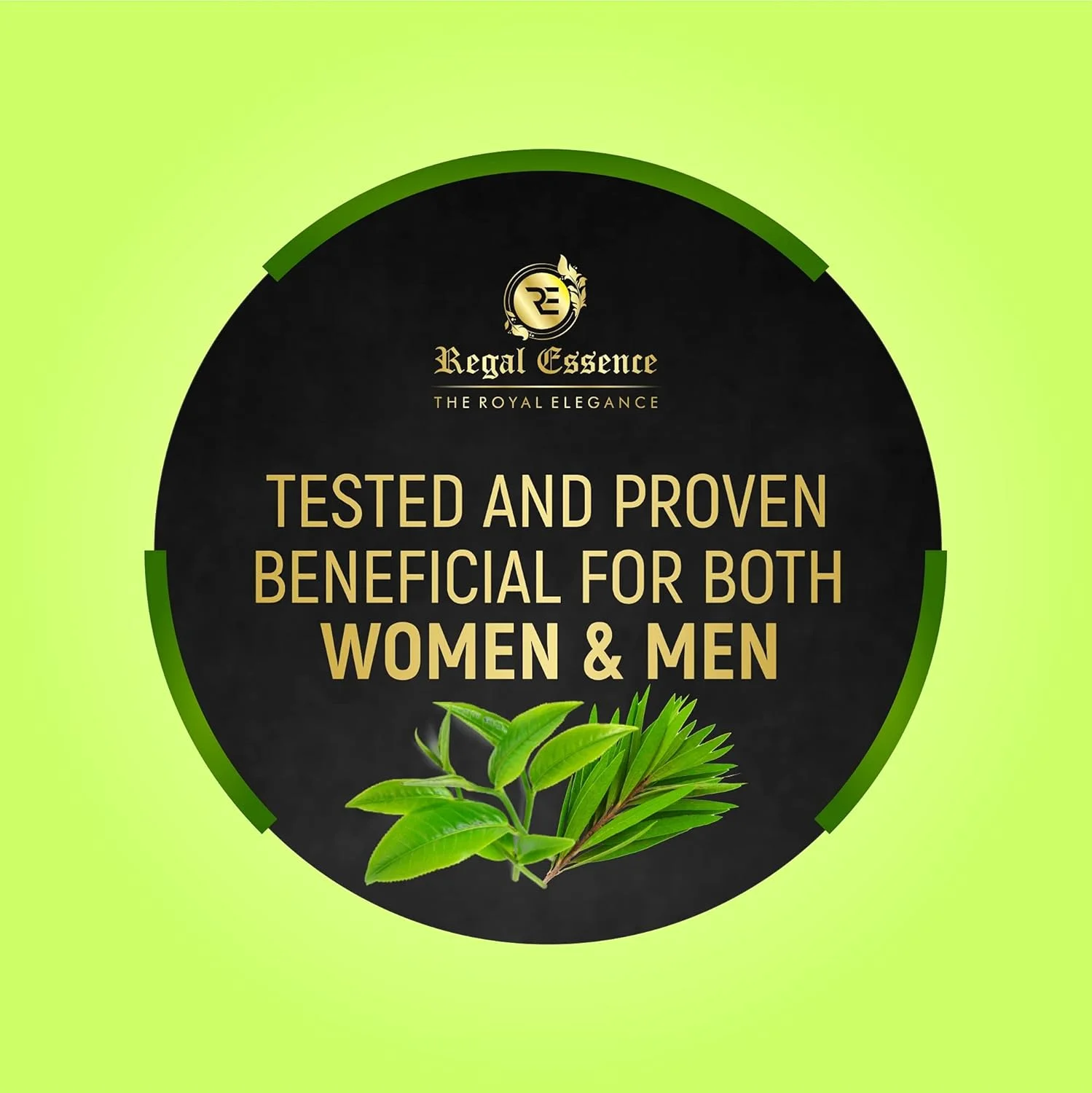 شامپو چای سبز و درخت چای Regal Essence برای احیای مو | ضد ریزش مو | و راه حل ضد شوره برای آقایان و بانوان - (بسته 1 عددی) شامپو چای سبز و درخت چای Regal Essence برای احیای مو | ضد ریزش مو | و راه حل ضد شوره برای آقایان و بانوان - (بسته 1 عددی)