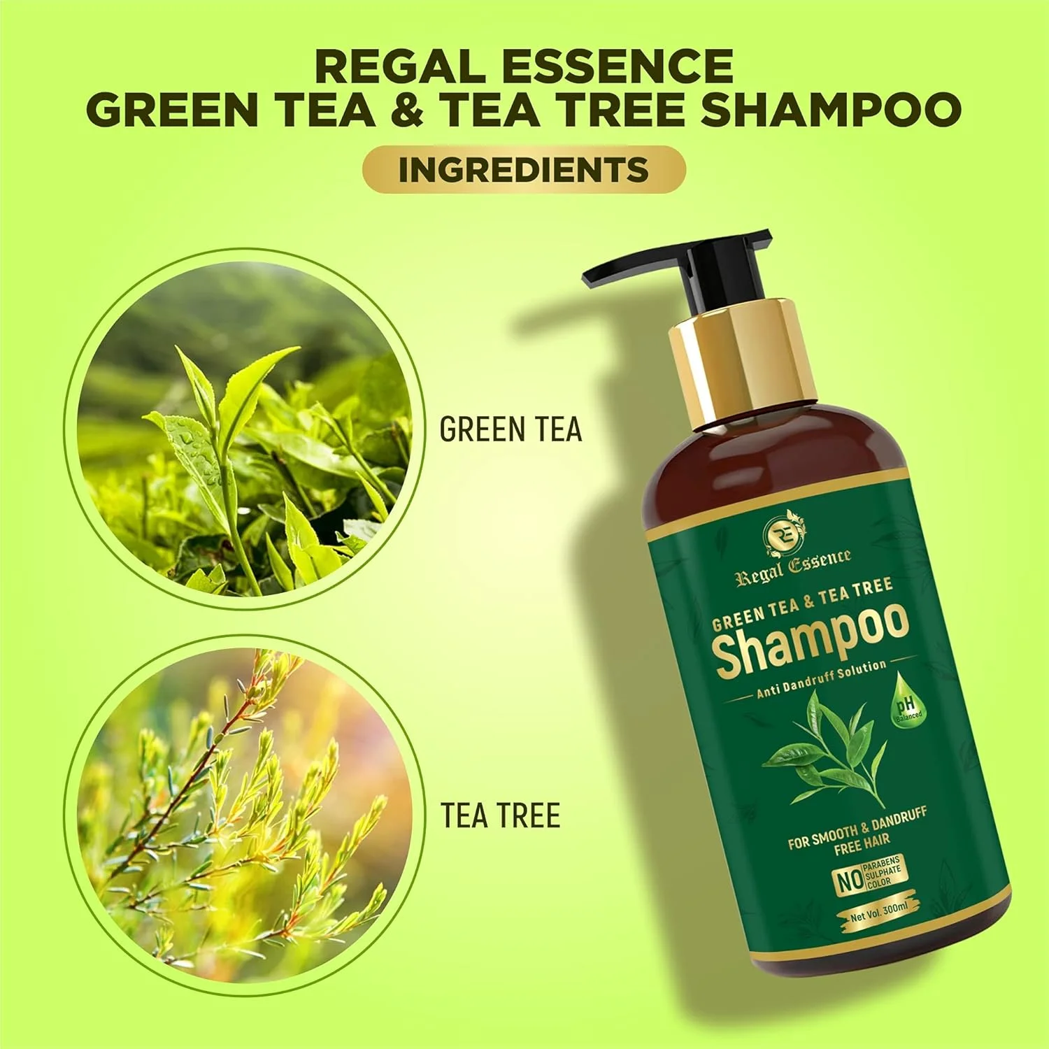 شامپو چای سبز و درخت چای Regal Essence برای احیای مو | ضد ریزش مو | و راه حل ضد شوره برای آقایان و بانوان - (بسته 1 عددی) شامپو چای سبز و درخت چای Regal Essence برای احیای مو | ضد ریزش مو | و راه حل ضد شوره برای آقایان و بانوان - (بسته 1 عددی)