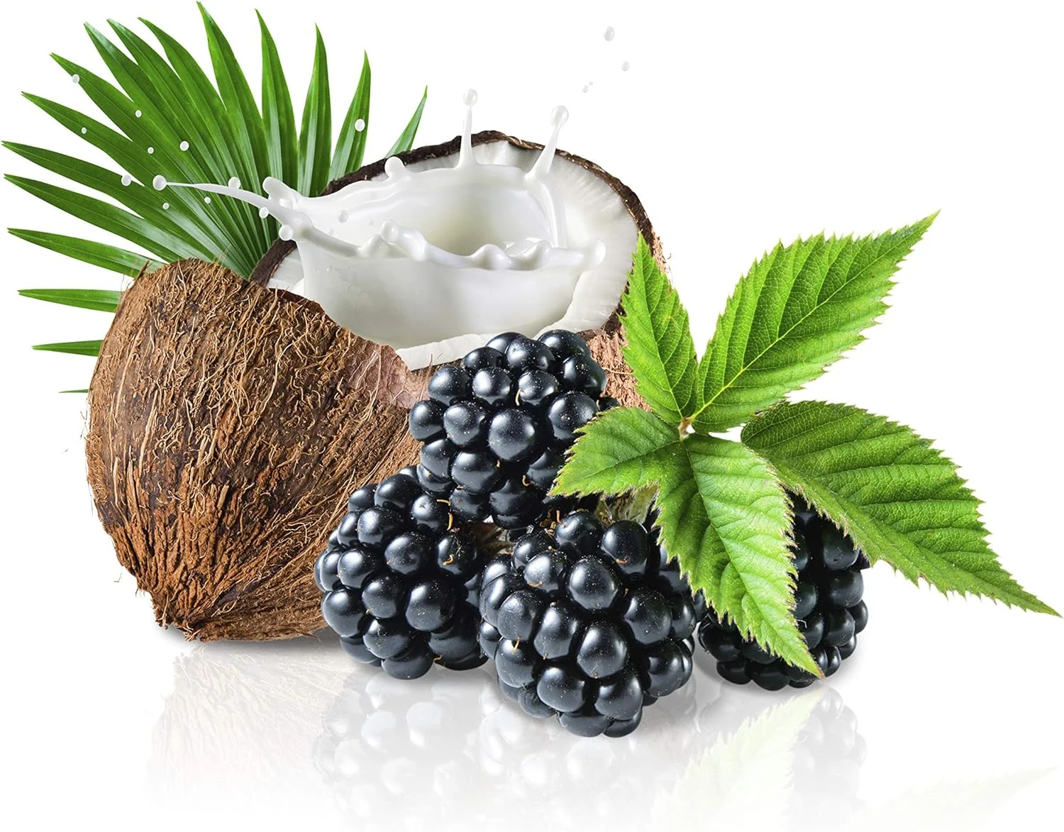 شامپو ترمیم کننده مو توت سیاه و شیر نارگیل جیوانى 2chic، 710ml شامپو ترمیم کننده مو توت سیاه و شیر نارگیل جیوانى 2chic، 710ml