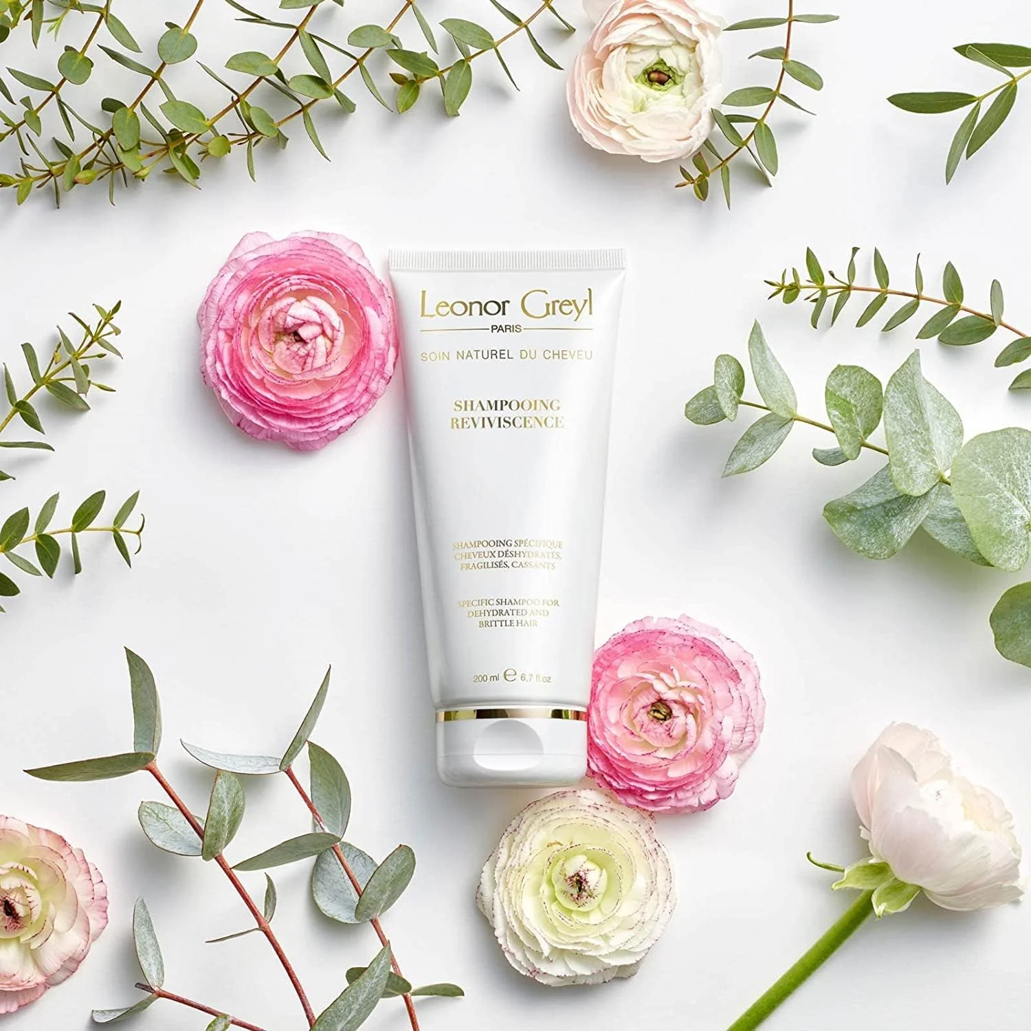 لئونور گری پاریس - شامپو ریوایویسنس - شامپو مخصوص موهای خشک، آسیب دیده و شکننده - شامپو مرطوب کننده و آبرسان (200 میلی لیتر) لئونور گری پاریس - شامپو ریوایویسنس - شامپو مخصوص موهای خشک، آسیب دیده و شکننده - شامپو مرطوب کننده و آبرسان (200 میلی لیتر)