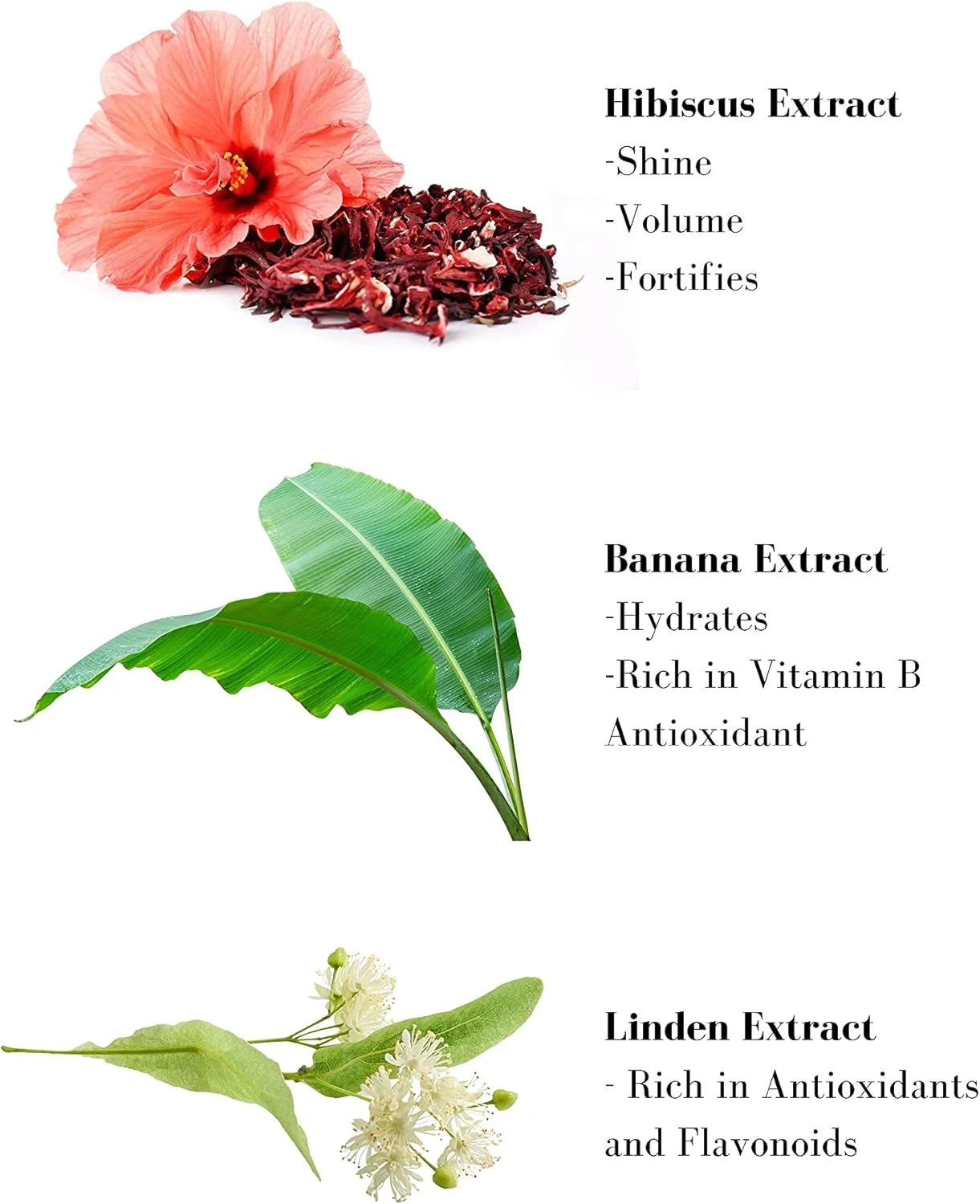 لئونور گری پاریس - Bain Restructurant a La Banane - شامپو حجم دهنده برای موهای فر - شامپو شفاف کننده موهای فر برای آقایان و بانوان (7 اونس)