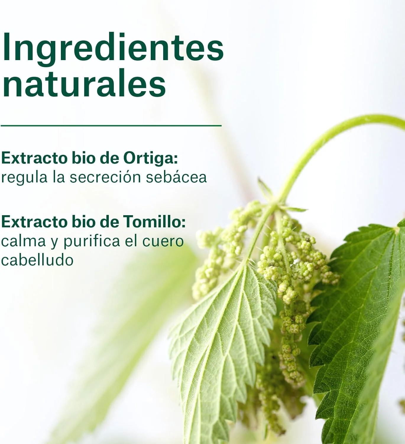 شامپو ارگانیک ناتور ویتال مخصوص موهای چرب 300 میلی لیتر شامپو ارگانیک ناتور ویتال مخصوص موهای چرب 300 میلی لیتر