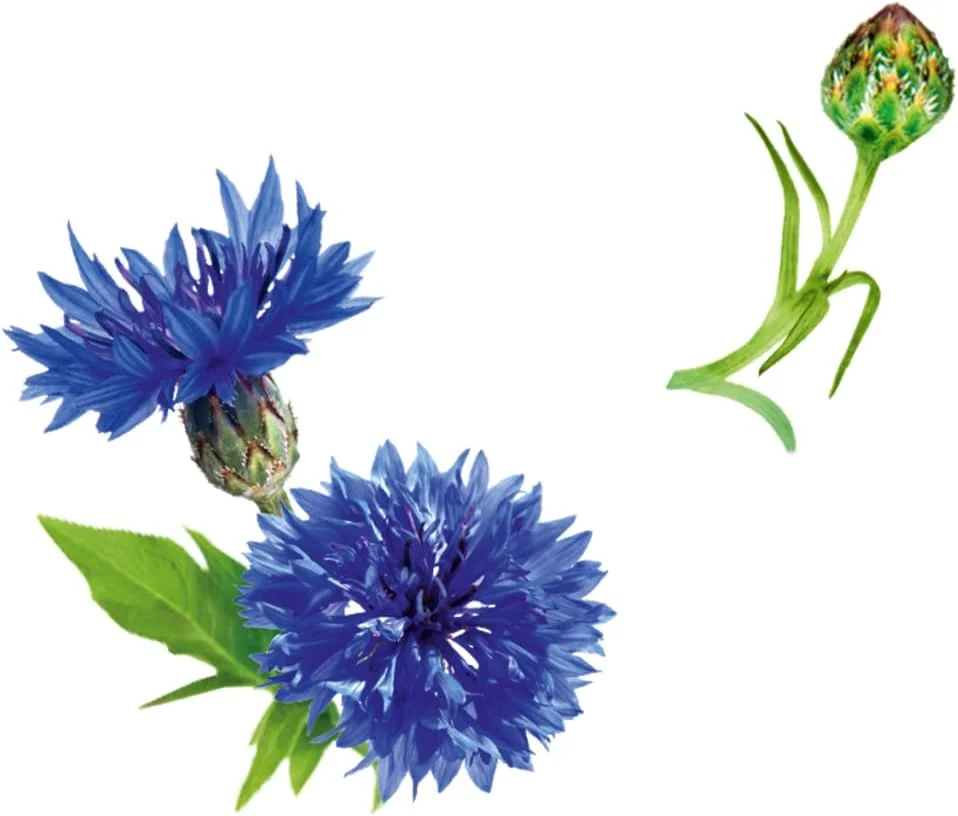 شامپو حجم دهنده ماندگار Guhl - 250 میلی لیتر