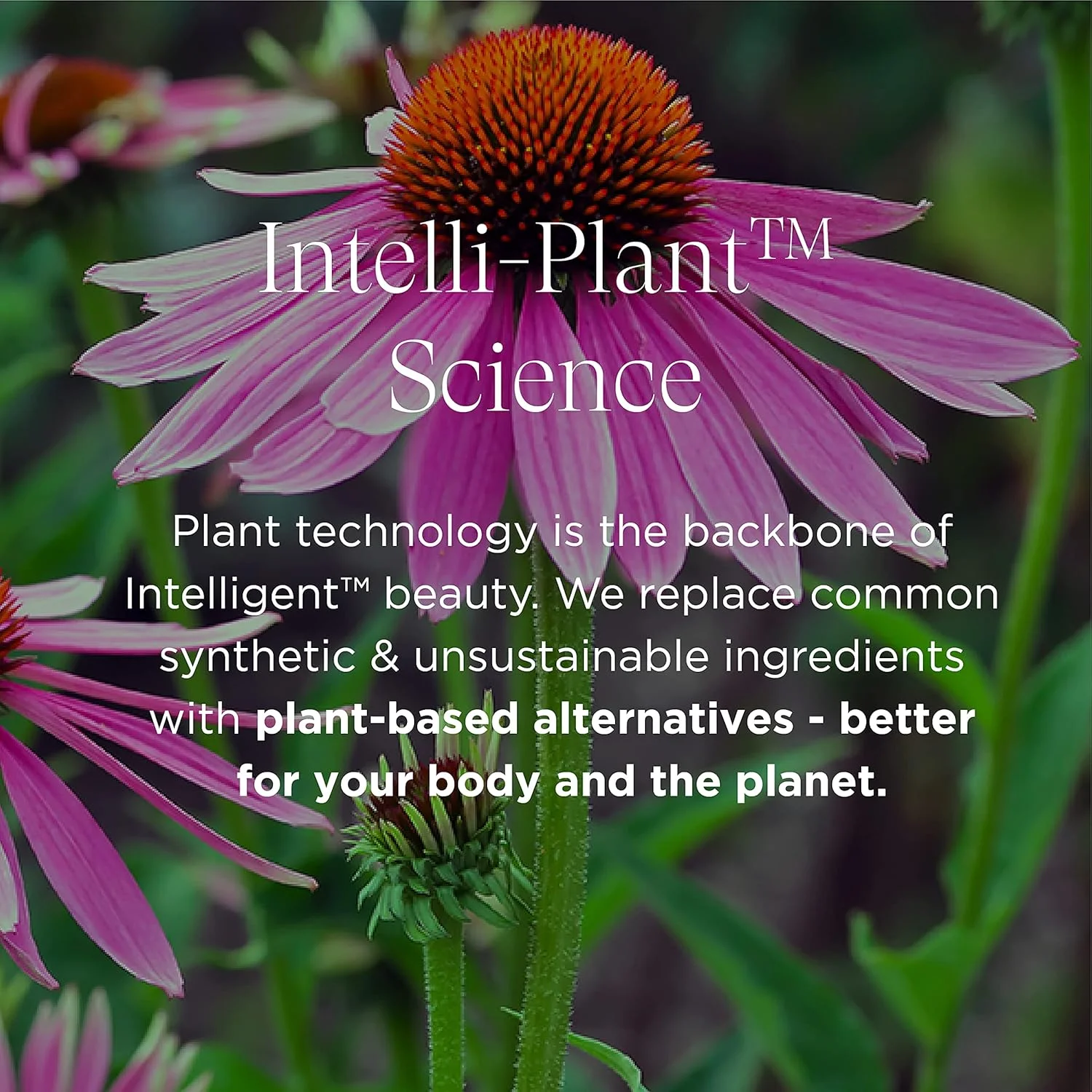 شامپو تقویت کننده مو اینتلیجنت نوتریشنز - شامپو آلوئه ورا با پروتئین بائوباب برای موهای خشک و آسیب دیده، بدون سیلیکون و سولفات (250 میلی لیتر)