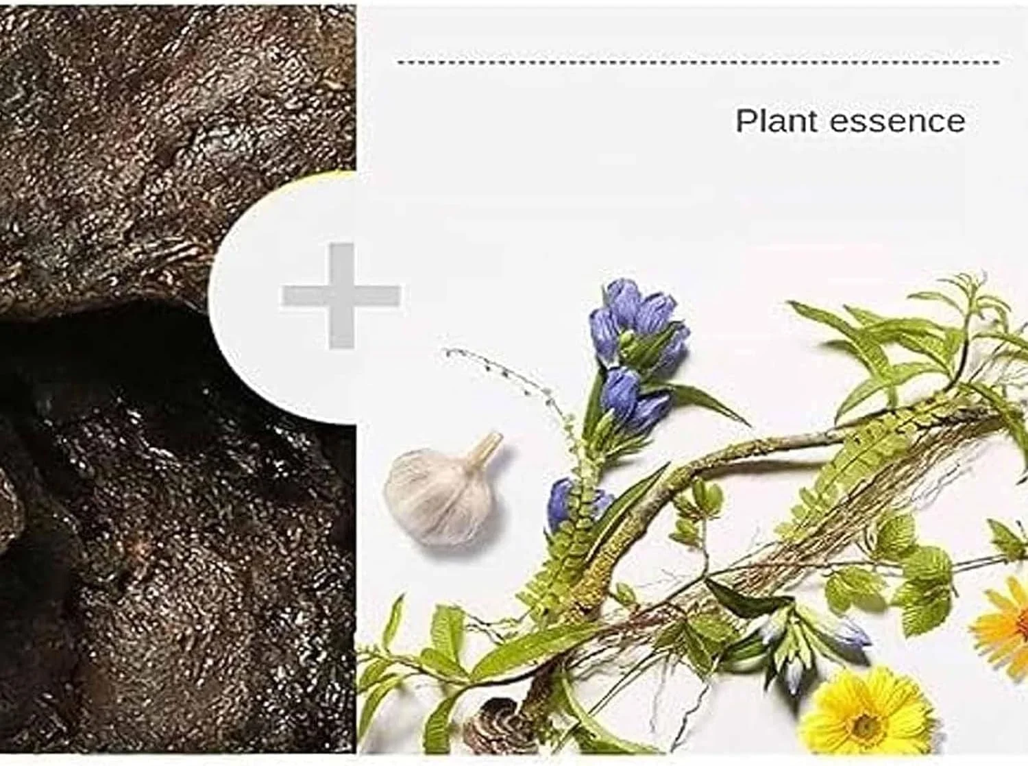 شامپو ضد ریزش مو دکتر شانگوان DUHANXI، شامپو ضد ریزش مو و رشد مو، شامپو ضد ریزش و تقویت کننده مو، شامپو ضد نازک شدن مو برای رشد و احیای مو (1 عدد)