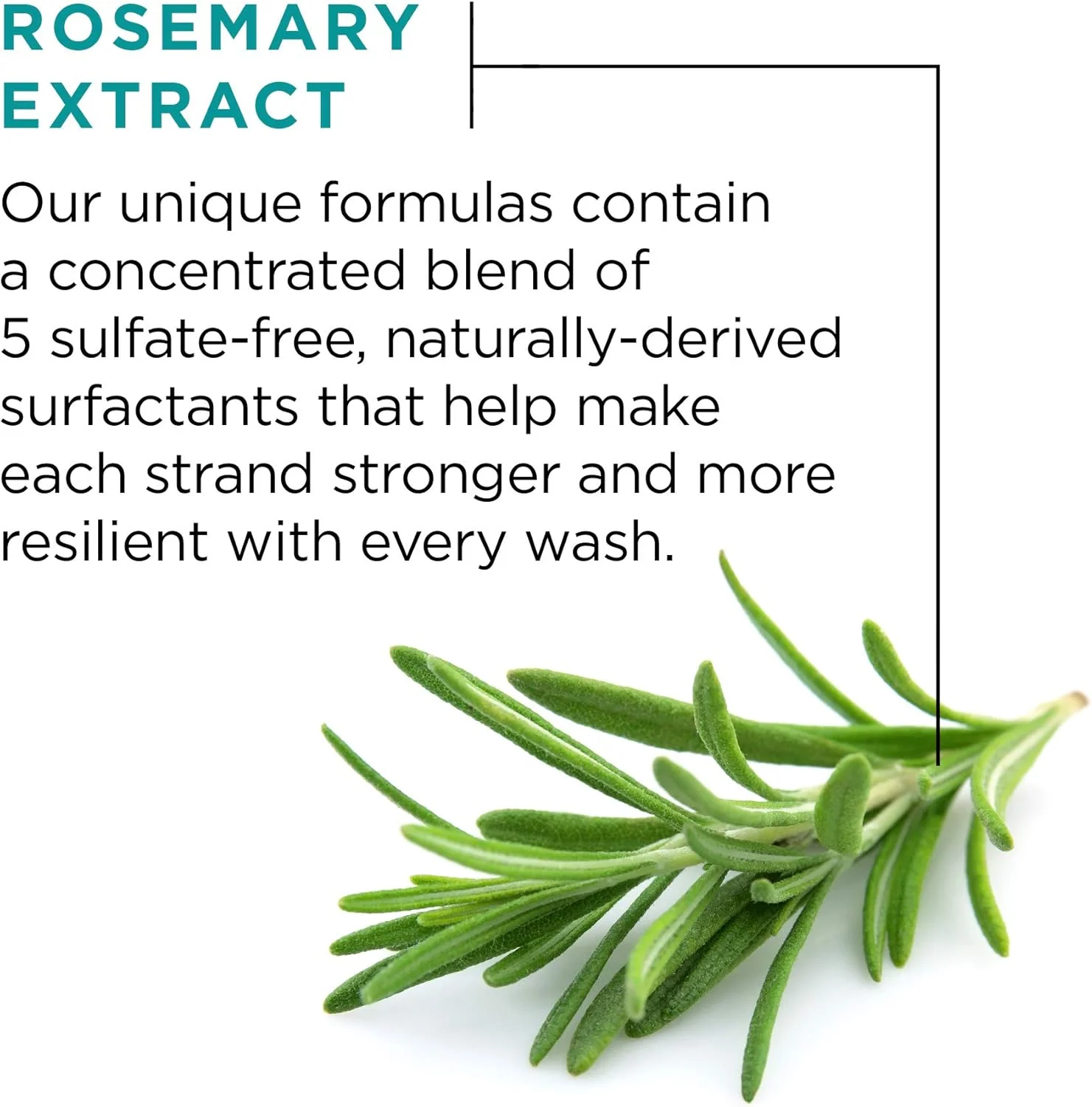 شامپو ضخیم کننده مو لورآل پاریس، حاوی رزماری، 250 میلی لیتر شامپو ضخیم کننده مو لورآل پاریس، حاوی رزماری، 250 میلی لیتر