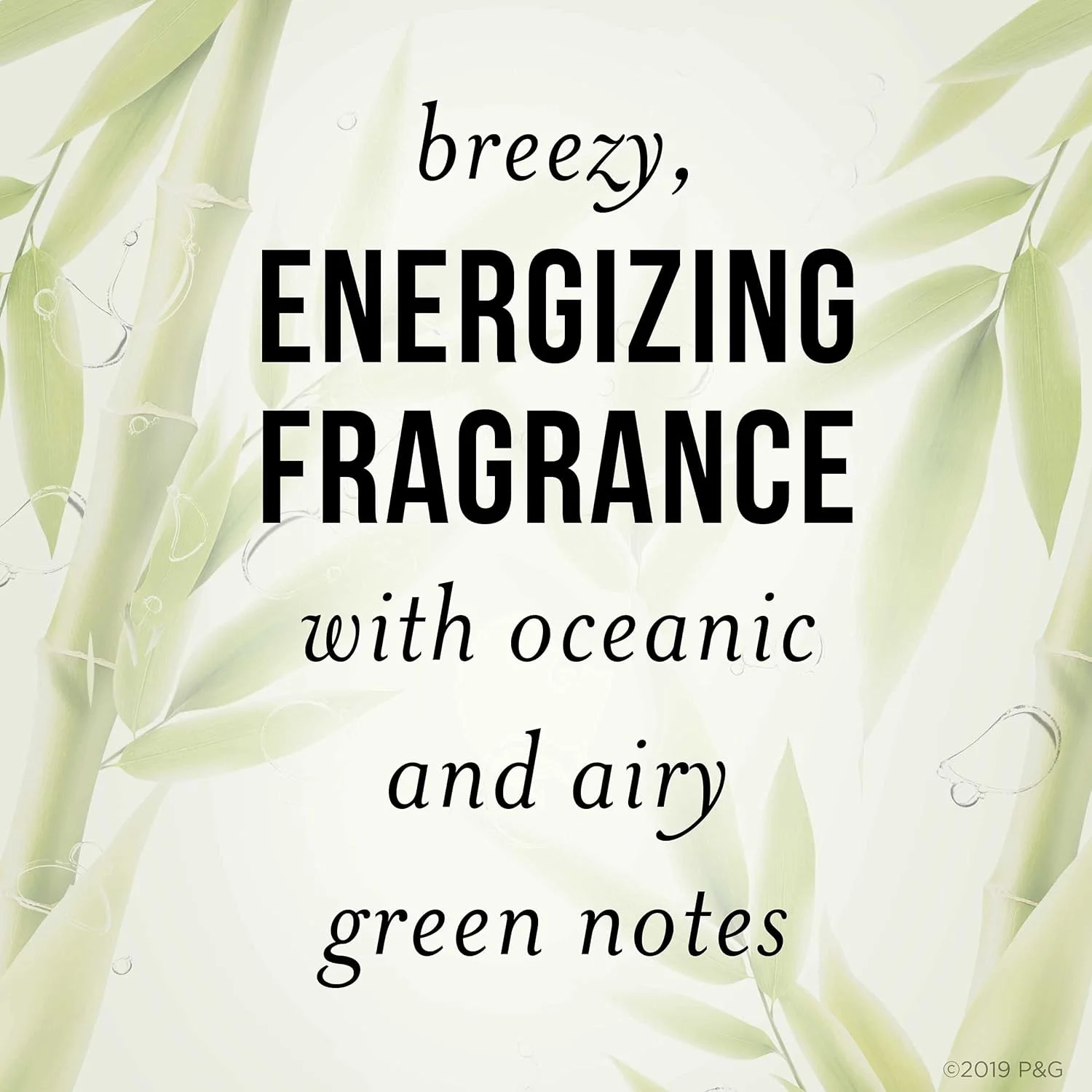 شامپو حجم دهنده Pantene با عصاره بامبو، تقویت کننده و حجم دهنده موهای نازک، 284 میلی لیتر، بسته 4 عددی شامپو حجم دهنده Pantene با عصاره بامبو، تقویت کننده و حجم دهنده موهای نازک، 284 میلی لیتر، بسته 4 عددی