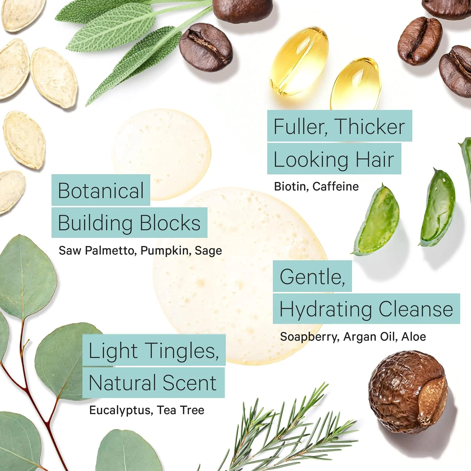 شامپو ضخیم کننده موهای نازک Tree to Tub Biotin برای حجم بیشتر و پرتر - شامپو حجم دهنده ملایم بدون سولفات روغن آرگان برای زنان و مردان حاوی کافئین، نخل اره ای ارگانیک، درخت چای کاملا طبیعی