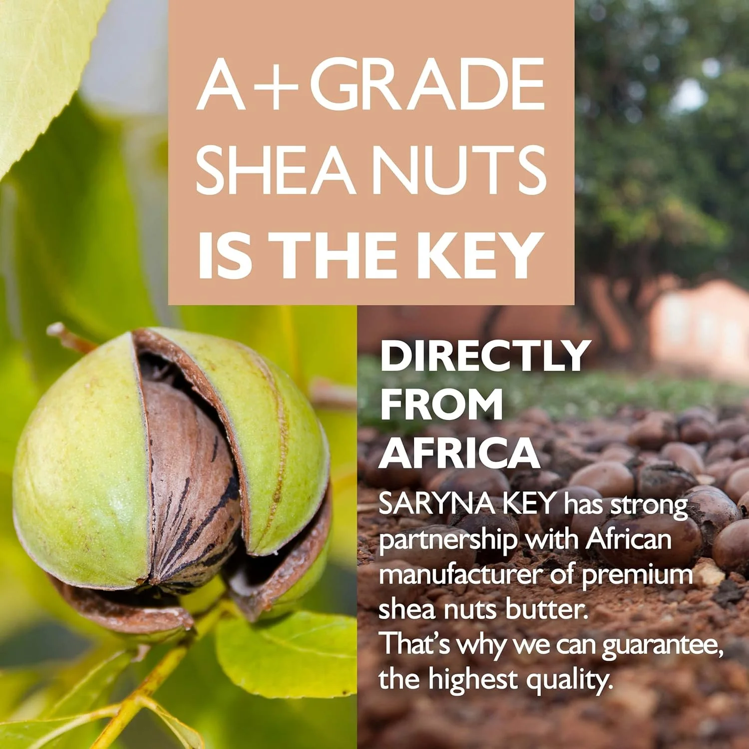 شامپو درمان کننده و مرطوب کننده مو سارینا کی حاوی شی باتر، شامپو شی باتر برای ترمیم موهای آسیب دیده، شامپو مرطوب کننده حاوی شی باتر طبیعی با شی باتر خالص آفریقایی - 500 میلی لیتر