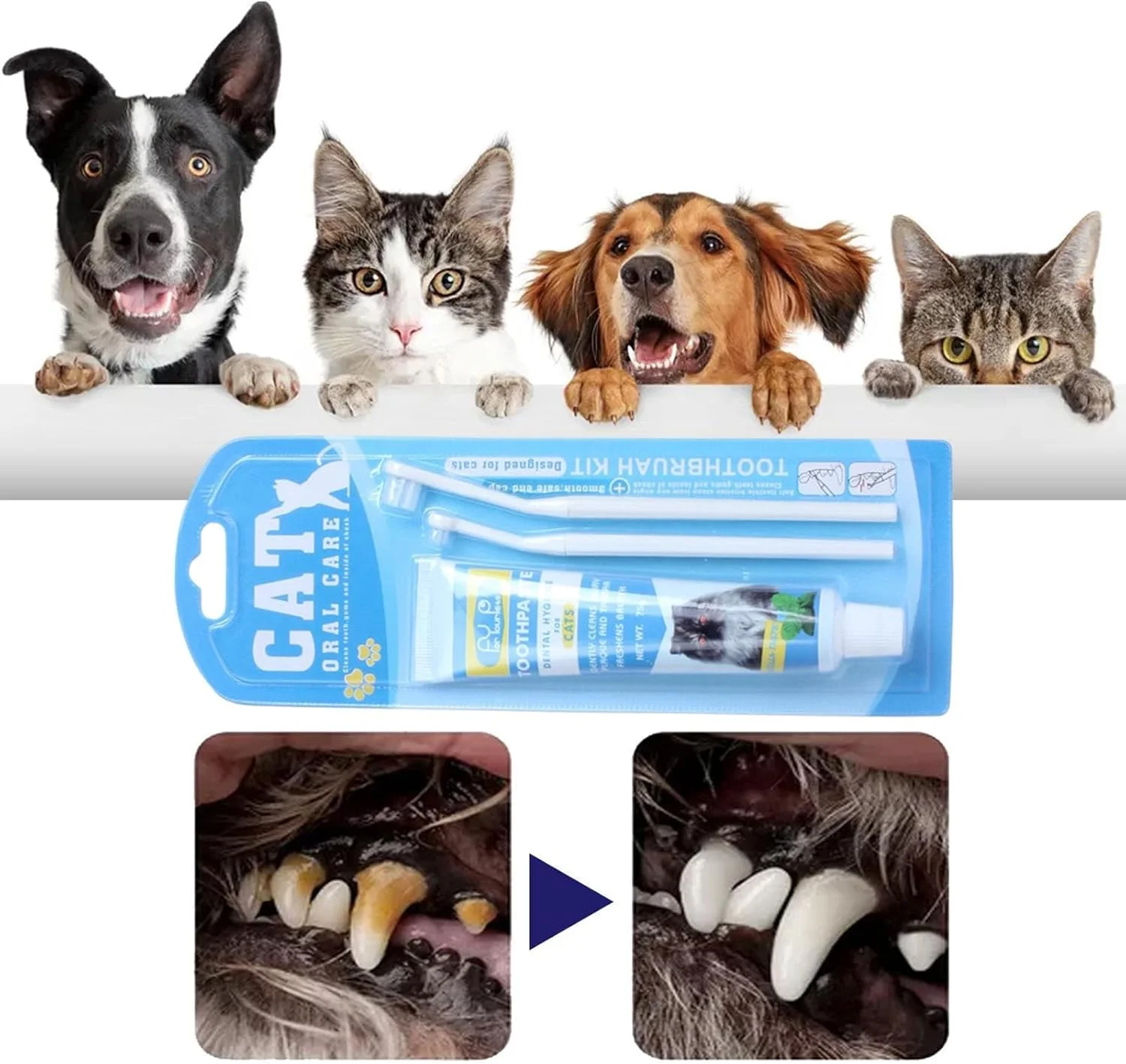 کیت بهداشت دهان و دندان حیوانات خانگی برای گربه ها، مجموعه 3 تکه شامل خمیر دندان گربه، مسواک گربه، از بین برنده بوی بد دهان، راه حل آسان برای خوشبو کردن نفس، تمیز کردن دندان ها و از بین بردن لکه ها، کیت مراقبت از دهان حیوانات خانگی کیت بهداشت دهان و دندان حیوانات خانگی برای گربه ها، مجموعه 3 تکه شامل خمیر دندان گربه، مسواک گربه، از بین برنده بوی بد دهان، راه حل آسان برای خوشبو کردن نفس، تمیز کردن دندان ها و از بین بردن لکه ها، کیت مراقبت از دهان حیوانات خانگی