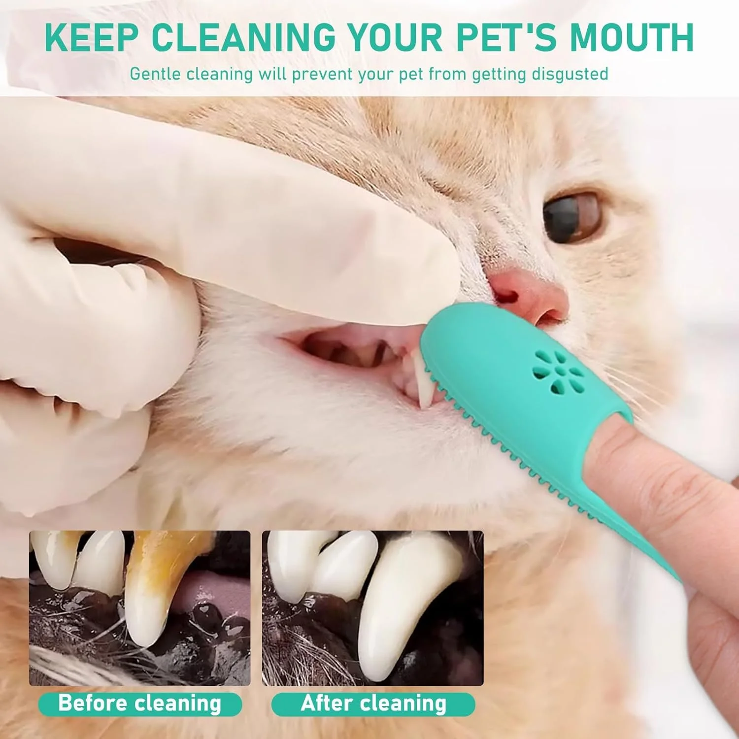 کیت مراقبت از دندان سگ و گربه، شامل مسواک و خمیر دندان مخصوص سگ و گربه، مسواک انگشتی و خمیر دندان، برس انگشتی برای تمیز کردن دندان ها و از بین بردن پلاک و جرم، خوشبو کننده دهان کیت مراقبت از دندان سگ و گربه، شامل مسواک و خمیر دندان مخصوص سگ و گربه، مسواک انگشتی و خمیر دندان، برس انگشتی برای تمیز کردن دندان ها و از بین بردن پلاک و جرم، خوشبو کننده دهان