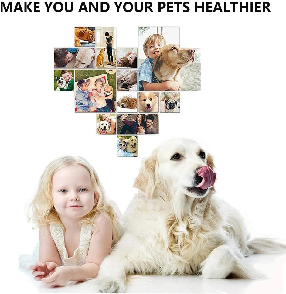 مسواک و خمیر دندان سگ و گربه، مسواک انگشتی سیلیکونی نرم حیوانات خانگی، کیت مراقبت از دندان سگ، رفع پلاک دندان سگ، دندان های سالم و تمیز سگ، خمیر دندان سگ با طعم گوشت گاو مسواک و خمیر دندان سگ و گربه، مسواک انگشتی سیلیکونی نرم حیوانات خانگی، کیت مراقبت از دندان سگ، رفع پلاک دندان سگ، دندان های سالم و تمیز سگ، خمیر دندان سگ با طعم گوشت گاو