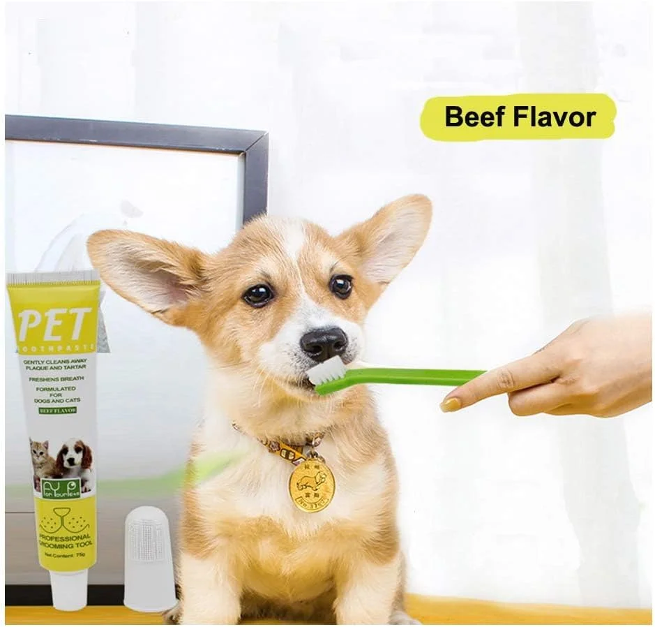 مسواک و خمیر دندان سگ و گربه، مسواک انگشتی سیلیکونی نرم حیوانات خانگی، کیت مراقبت از دندان سگ، رفع پلاک دندان سگ، دندان های سالم و تمیز سگ، خمیر دندان سگ با طعم گوشت گاو مسواک و خمیر دندان سگ و گربه، مسواک انگشتی سیلیکونی نرم حیوانات خانگی، کیت مراقبت از دندان سگ، رفع پلاک دندان سگ، دندان های سالم و تمیز سگ، خمیر دندان سگ با طعم گوشت گاو