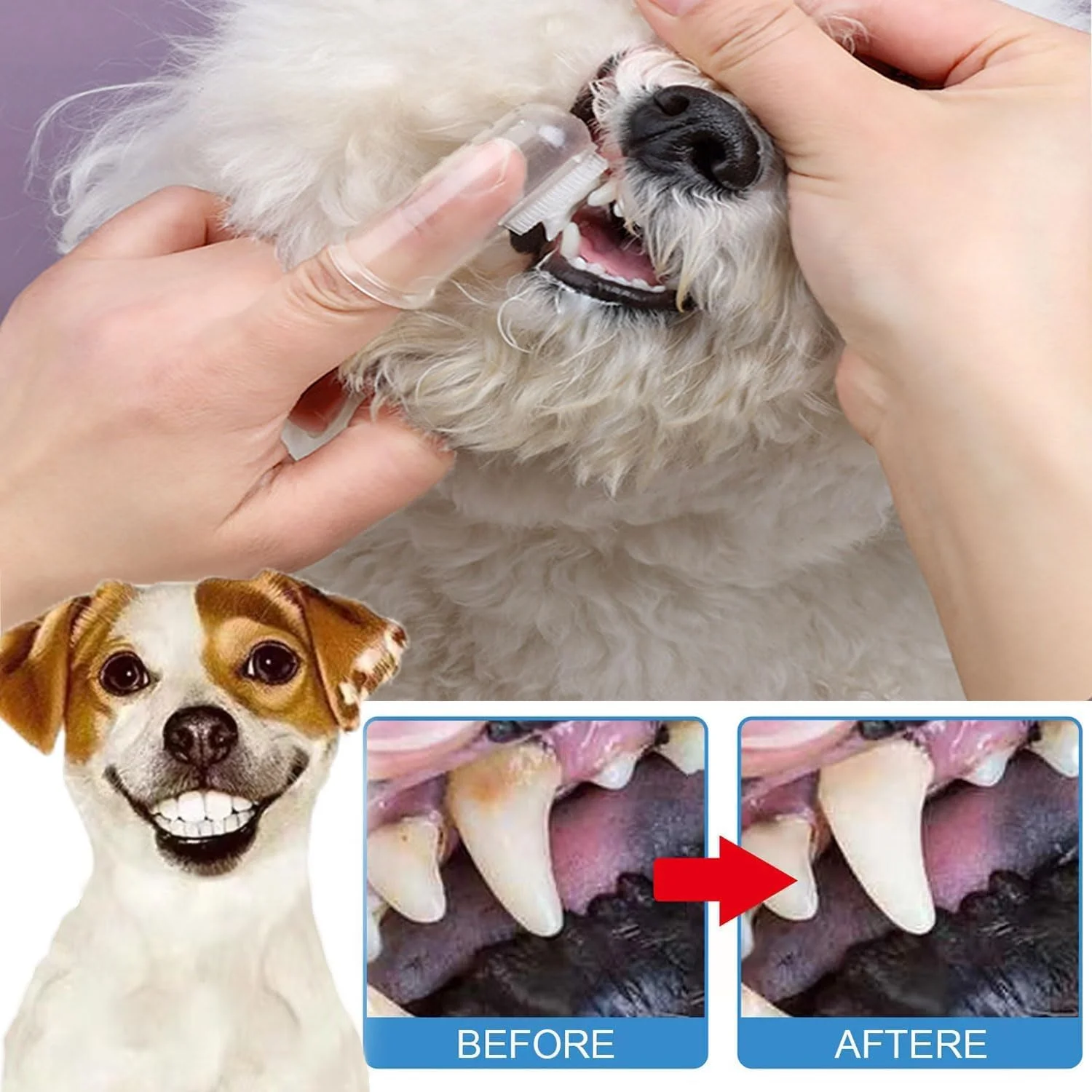 خمیر دندان و مسواک سگ، کیت تنفس تازه حیوانات خانگی، از بین برنده پلاک دندان، سفید کننده دندان، خوشبو کننده نفس سگ، کیت 3 تکه با طعم گوشت گاو، تمیز کردن دندان حیوانات خانگی، کیت مراقبت طبیعی از دندان سگ خمیر دندان و مسواک سگ، کیت تنفس تازه حیوانات خانگی، از بین برنده پلاک دندان، سفید کننده دندان، خوشبو کننده نفس سگ، کیت 3 تکه با طعم گوشت گاو، تمیز کردن دندان حیوانات خانگی، کیت مراقبت طبیعی از دندان سگ