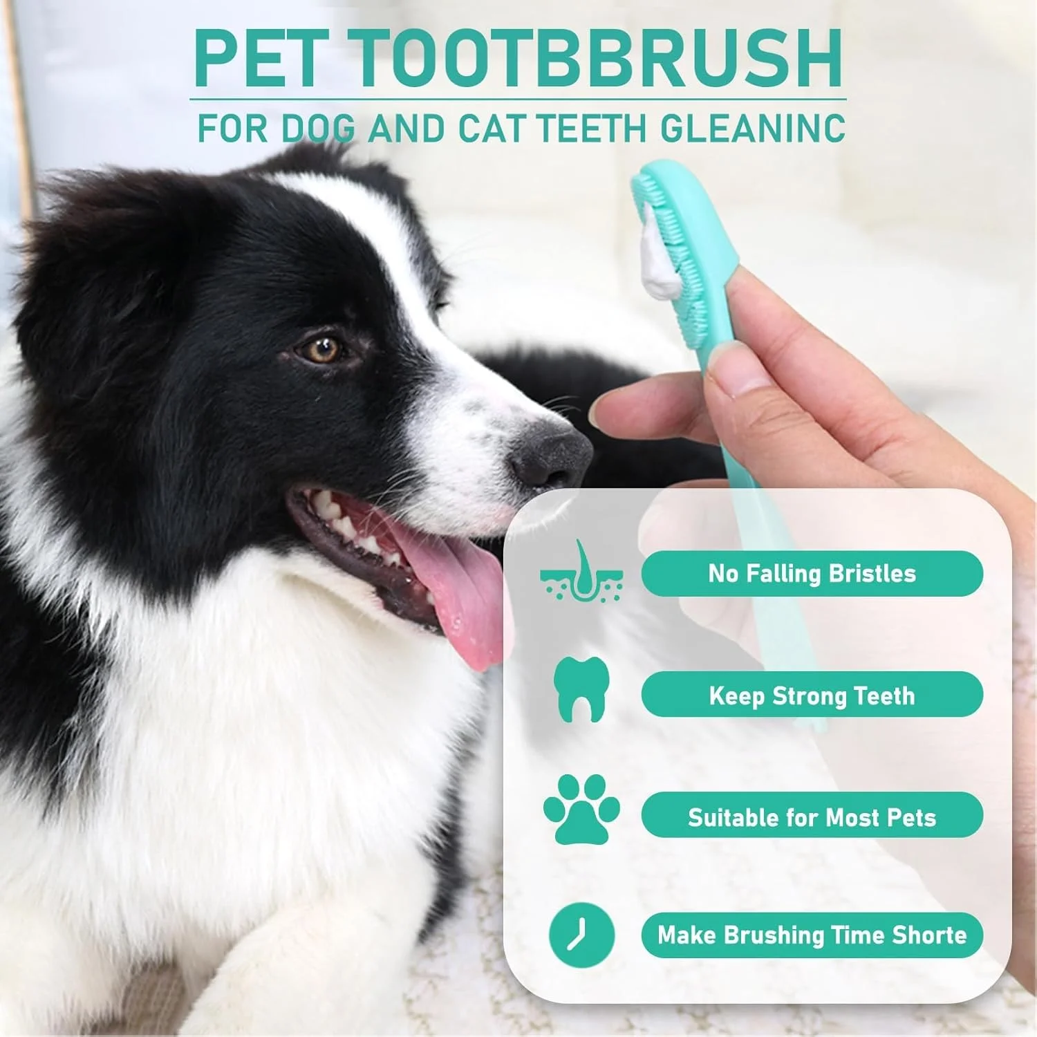 کیت مراقبت از دندان سگ و گربه، شامل مسواک و خمیر دندان مخصوص سگ و گربه، مسواک انگشتی و خمیر دندان، برس انگشتی برای تمیز کردن دندان ها و از بین بردن پلاک و جرم، خوشبو کننده دهان کیت مراقبت از دندان سگ و گربه، شامل مسواک و خمیر دندان مخصوص سگ و گربه، مسواک انگشتی و خمیر دندان، برس انگشتی برای تمیز کردن دندان ها و از بین بردن پلاک و جرم، خوشبو کننده دهان