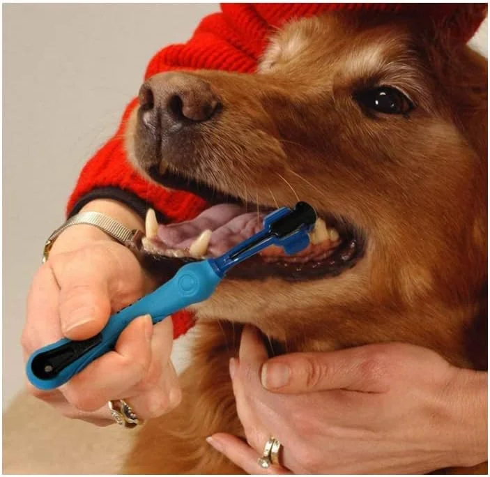 مسواک حیوانات خانگی NALACAL، مسواک سه طرفه سگ برای رفع بوی بد دهان، جرم و مراقبت از دندان ها، مناسب برای تمیز کردن دهان سگ و گربه (2 عدد) مسواک حیوانات خانگی NALACAL، مسواک سه طرفه سگ برای رفع بوی بد دهان، جرم و مراقبت از دندان ها، مناسب برای تمیز کردن دهان سگ و گربه (2 عدد)