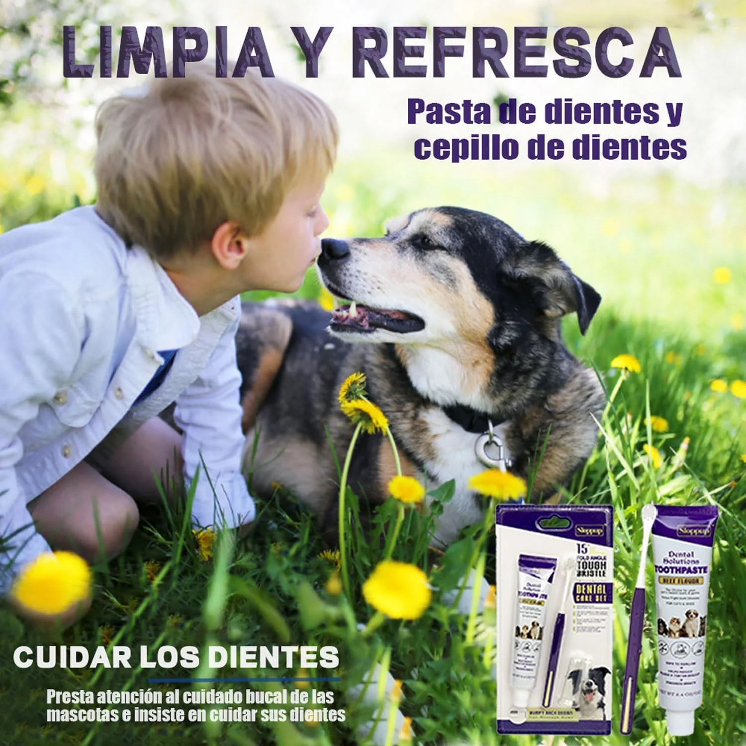 خمیر دندان و مسواک سگ، کیت تنفس تازه حیوانات خانگی، از بین برنده پلاک دندان، سفید کننده دندان، خوشبو کننده نفس سگ، کیت 3 تکه با طعم گوشت گاو، تمیز کردن دندان حیوانات خانگی، کیت مراقبت طبیعی از دندان سگ خمیر دندان و مسواک سگ، کیت تنفس تازه حیوانات خانگی، از بین برنده پلاک دندان، سفید کننده دندان، خوشبو کننده نفس سگ، کیت 3 تکه با طعم گوشت گاو، تمیز کردن دندان حیوانات خانگی، کیت مراقبت طبیعی از دندان سگ