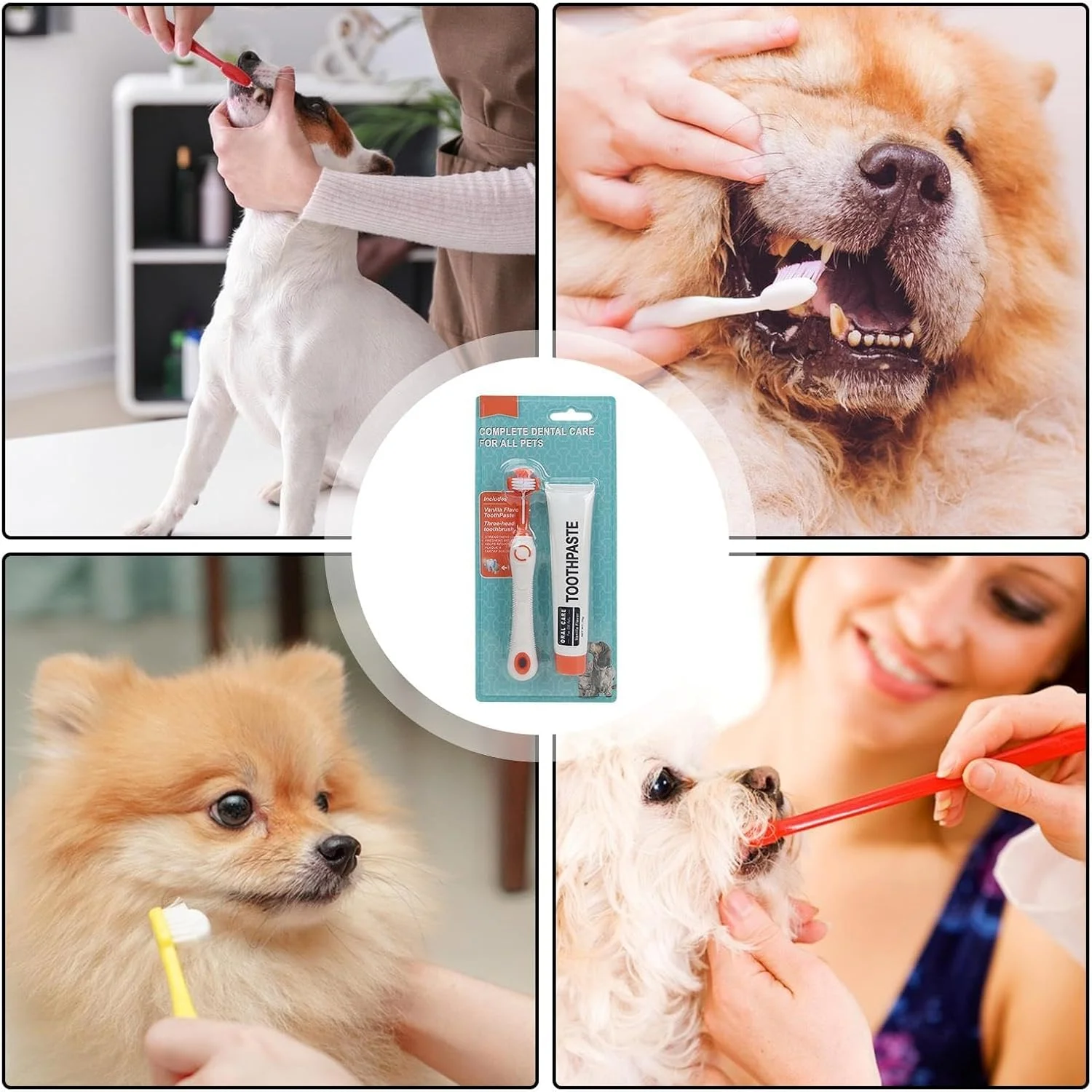 خمیر دندان و مسواک سگ، مراقبت از دندان حیوانات خانگی، کیت بهداشت دهان و دندان برای گربه ها و سگ ها، کیت دندانپزشکی، از بین برنده پلاک دندان، سفید کننده دندان، خوشبو کننده نفس سگ، مسواک دو طرفه شامل می شود خمیر دندان و مسواک سگ، مراقبت از دندان حیوانات خانگی، کیت بهداشت دهان و دندان برای گربه ها و سگ ها، کیت دندانپزشکی، از بین برنده پلاک دندان، سفید کننده دندان، خوشبو کننده نفس سگ، مسواک دو طرفه شامل می شود