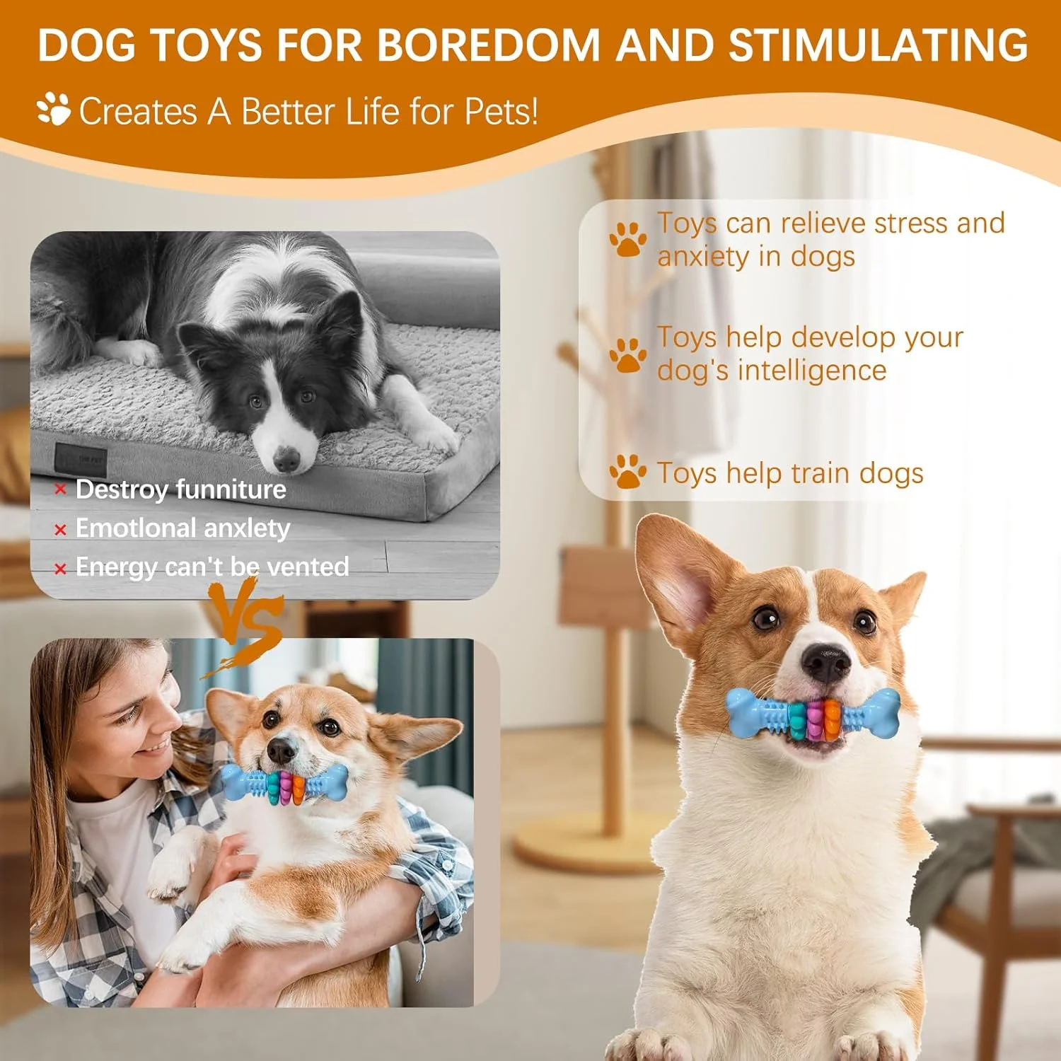 اسباب بازی جویدنی سگ، اسباب بازی جویدنی سگ کوچک، مسواک چوبی سگ، اسباب بازی دندانی سگ، اسباب بازی تمیز کننده دندان سگ، اسباب بازی جویدنی بادوام سگ، اسباب بازی جویدنی تعاملی سگ، هدیه اسباب بازی برای سگ های جویدنی تهاجمی