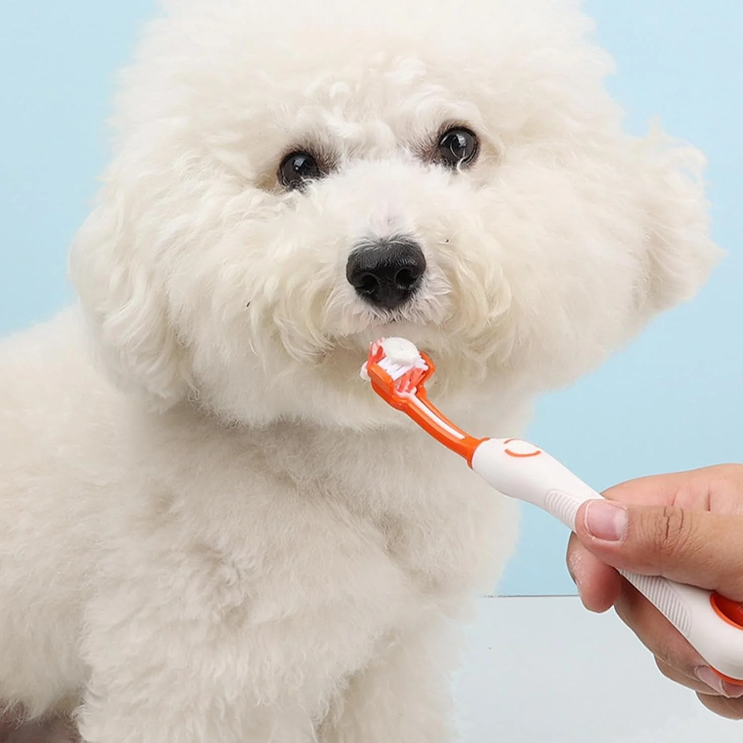 خمیر دندان و مسواک سگ، مراقبت از دندان حیوانات خانگی، کیت بهداشت دهان و دندان برای گربه ها و سگ ها، کیت دندانپزشکی، از بین برنده پلاک دندان، سفید کننده دندان، خوشبو کننده نفس سگ، مسواک دو طرفه شامل می شود خمیر دندان و مسواک سگ، مراقبت از دندان حیوانات خانگی، کیت بهداشت دهان و دندان برای گربه ها و سگ ها، کیت دندانپزشکی، از بین برنده پلاک دندان، سفید کننده دندان، خوشبو کننده نفس سگ، مسواک دو طرفه شامل می شود