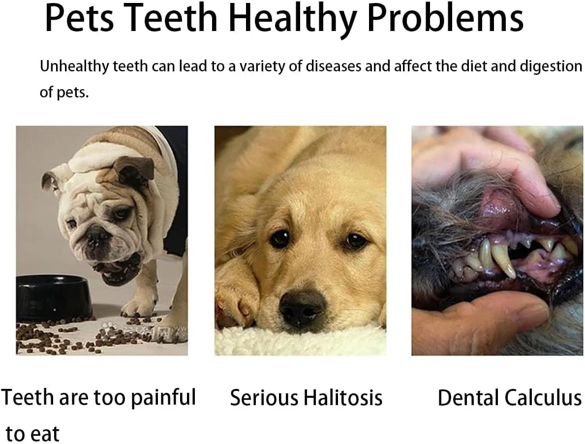 مسواک سگ و گربه نالاکال، مسواک های فوق العاده نرم برای تمیز کردن دندان سگ و گربه، مناسب برای توله سگ، سگ های کوچک و گربه ها، بهداشت دندان سگ ها، کیت 3 عددی (سفید/سبز/صورتی) مسواک سگ و گربه نالاکال، مسواک های فوق العاده نرم برای تمیز کردن دندان سگ و گربه، مناسب برای توله سگ، سگ های کوچک و گربه ها، بهداشت دندان سگ ها، کیت 3 عددی (سفید/سبز/صورتی)