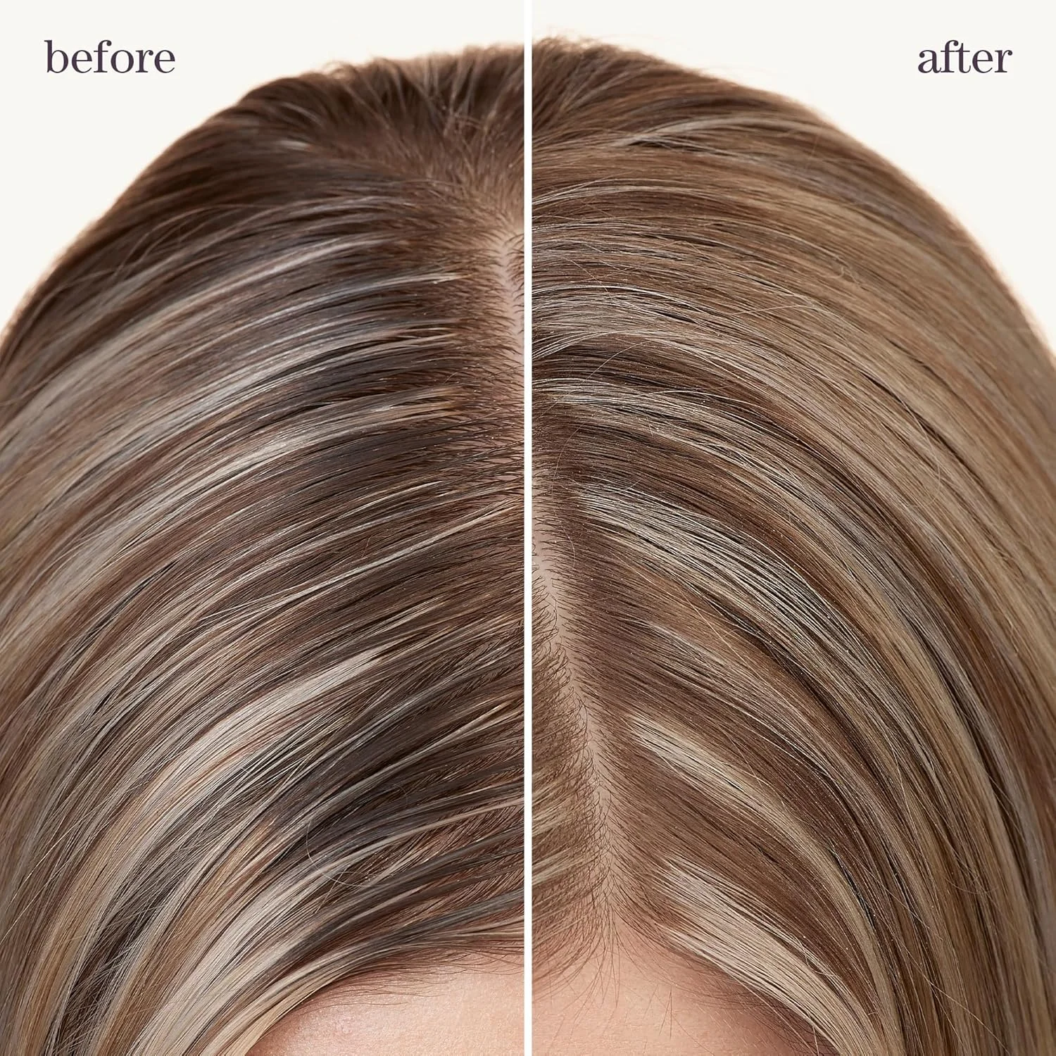 شامپو خشک Pureology Style + Protect Refresh & Go | برای موهای چرب و رنگ شده | حجم دهنده و محافظت کننده | بدون سیلیکون | وگان | بسته بندی جدید | 150 گرم شامپو خشک Pureology Style + Protect Refresh & Go | برای موهای چرب و رنگ شده | حجم دهنده و محافظت کننده | بدون سیلیکون | وگان | بسته بندی جدید | 150 گرم