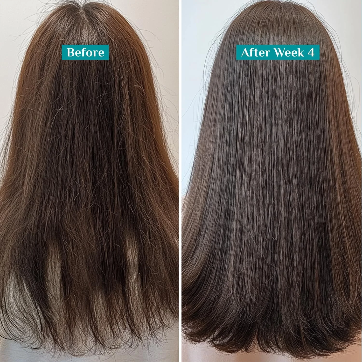 شامپو ضد ریزش مو رزماری اسپانیایی و بیوتین پیلگریم برای کاهش ریزش و شکستگی مو 200 میلی لیتر | شامپو رزماری برای رشد مو | موهایی تا 95% قوی تر | مناسب برای انواع مو | برای آقایان و بانوان شامپو ضد ریزش مو رزماری اسپانیایی و بیوتین پیلگریم برای کاهش ریزش و شکستگی مو 200 میلی لیتر | شامپو رزماری برای رشد مو | موهایی تا 95% قوی تر | مناسب برای انواع مو | برای آقایان و بانوان