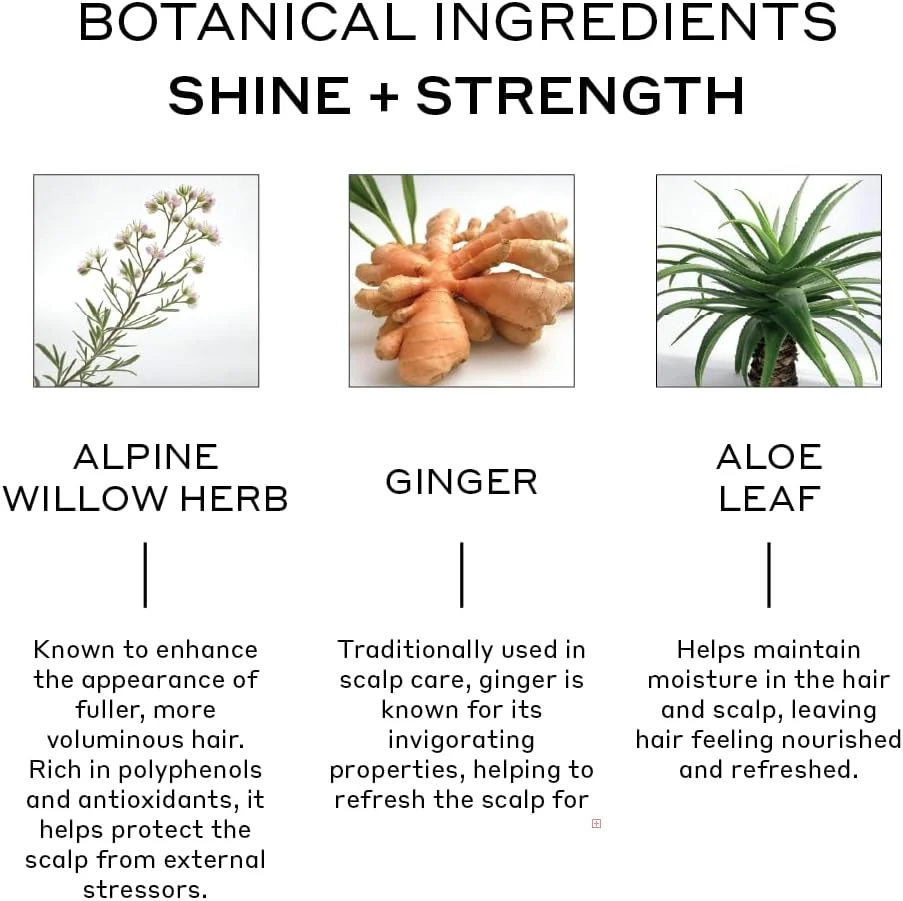 شامپو درمانی تسریع کننده رشد مو زنژن ایوالو پروفشنال شامپو درمانی تسریع کننده رشد مو زنژن ایوالو پروفشنال