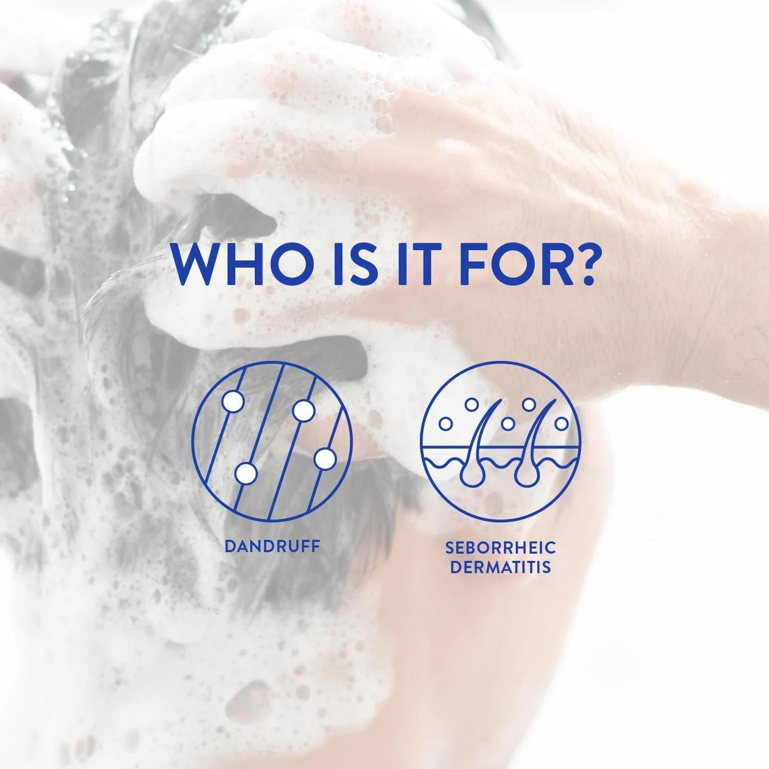 شامپو ضد شوره سر زینکون، 8 اونس مایع