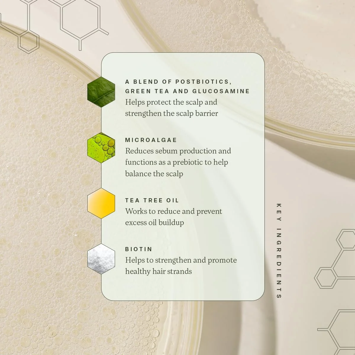 شامپو حجم دهنده divi برای زنان و مردان - شامپو حجم دهنده سبک برای موهای نازک - فرموله شده برای پاکسازی، تغذیه و متعادل کردن پوست سر، 355 میلی لیتر. شامپو حجم دهنده divi برای زنان و مردان - شامپو حجم دهنده سبک برای موهای نازک - فرموله شده برای پاکسازی، تغذیه و متعادل کردن پوست سر، 355 میلی لیتر.