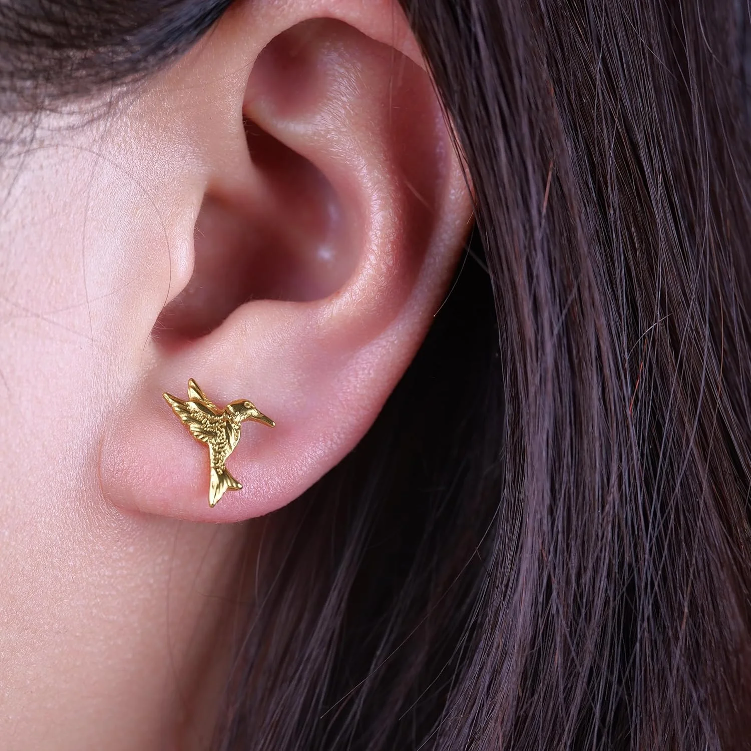 گوشواره های میخی تیتانیومی خالص لیمرنسیا برای زنان، ضد حساسیت | مرغ مگس خوار پرنده | پرنده زیبا | حیوان دوست داشتنی | میله درجه ایمپلنت بدون نیکل، ضد زنگ، جواهرات سوراخ کننده گوش برای هدیه ظریف گوشواره های میخی تیتانیومی خالص لیمرنسیا برای زنان، ضد حساسیت | مرغ مگس خوار پرنده | پرنده زیبا | حیوان دوست داشتنی | میله درجه ایمپلنت بدون نیکل، ضد زنگ، جواهرات سوراخ کننده گوش برای هدیه ظریف
