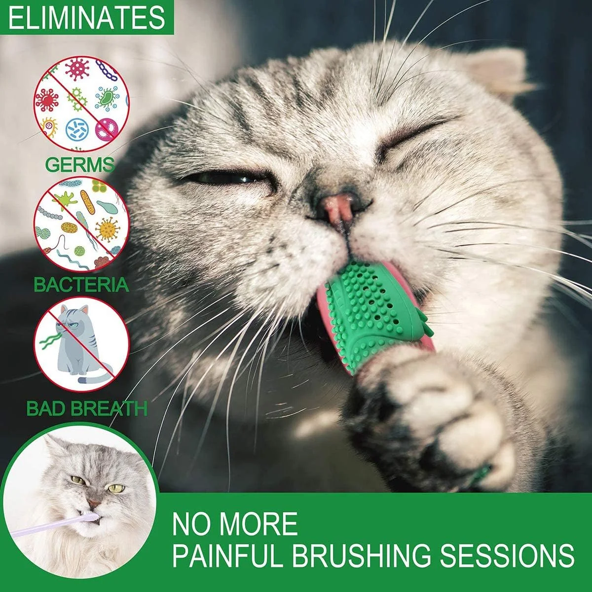 اسباب بازی دندانی گربه SYOSI، مسواک های اسباب بازی گربه، اسباب بازی خرچنگ، فیدر کت نیپ، مسواک خود تمیز شونده، اسباب بازی تعاملی تغذیه با زنگوله اسباب بازی دندانی گربه SYOSI، مسواک های اسباب بازی گربه، اسباب بازی خرچنگ، فیدر کت نیپ، مسواک خود تمیز شونده، اسباب بازی تعاملی تغذیه با زنگوله