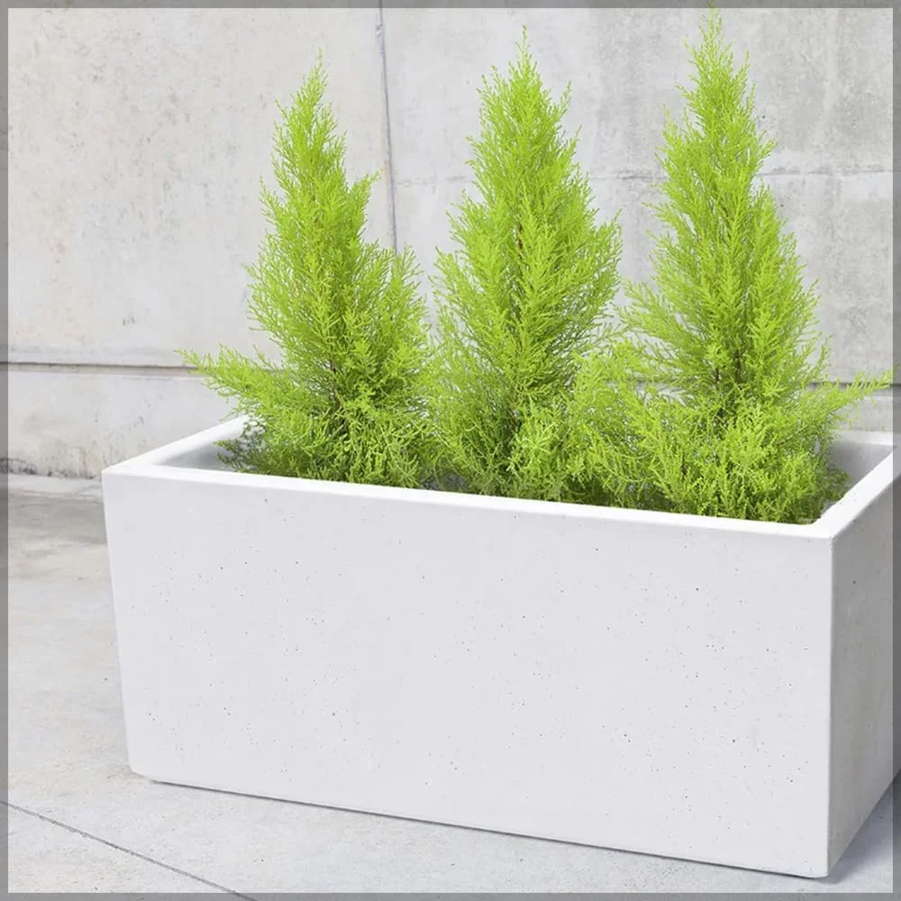 گلدان بتنی مستطیلی شکل یاتای دکور، باغ سرپوشیده برای اتاق نشیمن فضای باز، مناسب برای پرورش گیاهان، گل ها یا تزئین گلدان های ساکولنت (کوچک) گلدان بتنی مستطیلی شکل یاتای دکور، باغ سرپوشیده برای اتاق نشیمن فضای باز، مناسب برای پرورش گیاهان، گل ها یا تزئین گلدان های ساکولنت (کوچک)