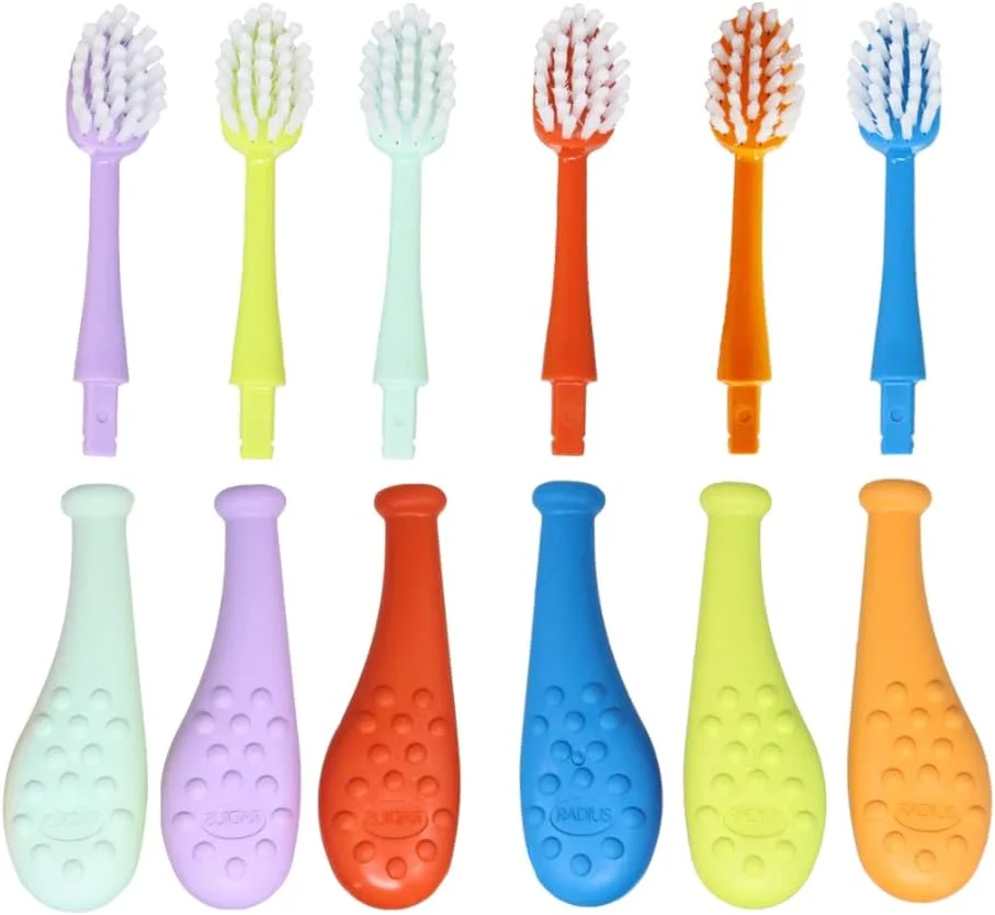 مسواک کودک بزرگسال RADIUS با سر قابل تعویض، مناسب برای کودکان 6 سال به بالا، فاقد BPA و مورد تایید ADA برای دندان ها و لثه های در حال رشد، مناسب برای دست راست و چپ، بسیار نرم، بسته 6 عددی مسواک کودک بزرگسال RADIUS با سر قابل تعویض، مناسب برای کودکان 6 سال به بالا، فاقد BPA و مورد تایید ADA برای دندان ها و لثه های در حال رشد، مناسب برای دست راست و چپ، بسیار نرم، بسته 6 عددی