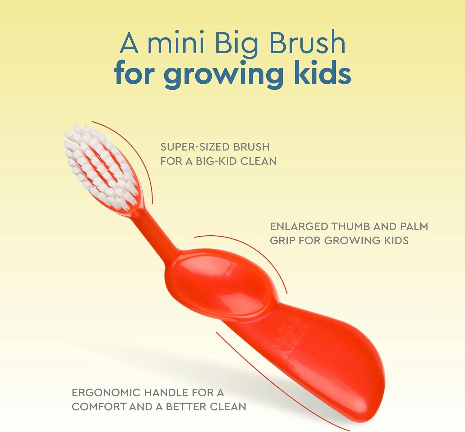 مسواک کودکانه RADIUS Kidz، مناسب دست راست، فاقد BPA، مورد تایید ADA، طراحی شده برای تمیز کردن دندان ها و لثه های کودکان 6 سال به بالا - رنگ های متنوع - بسته 6 عددی