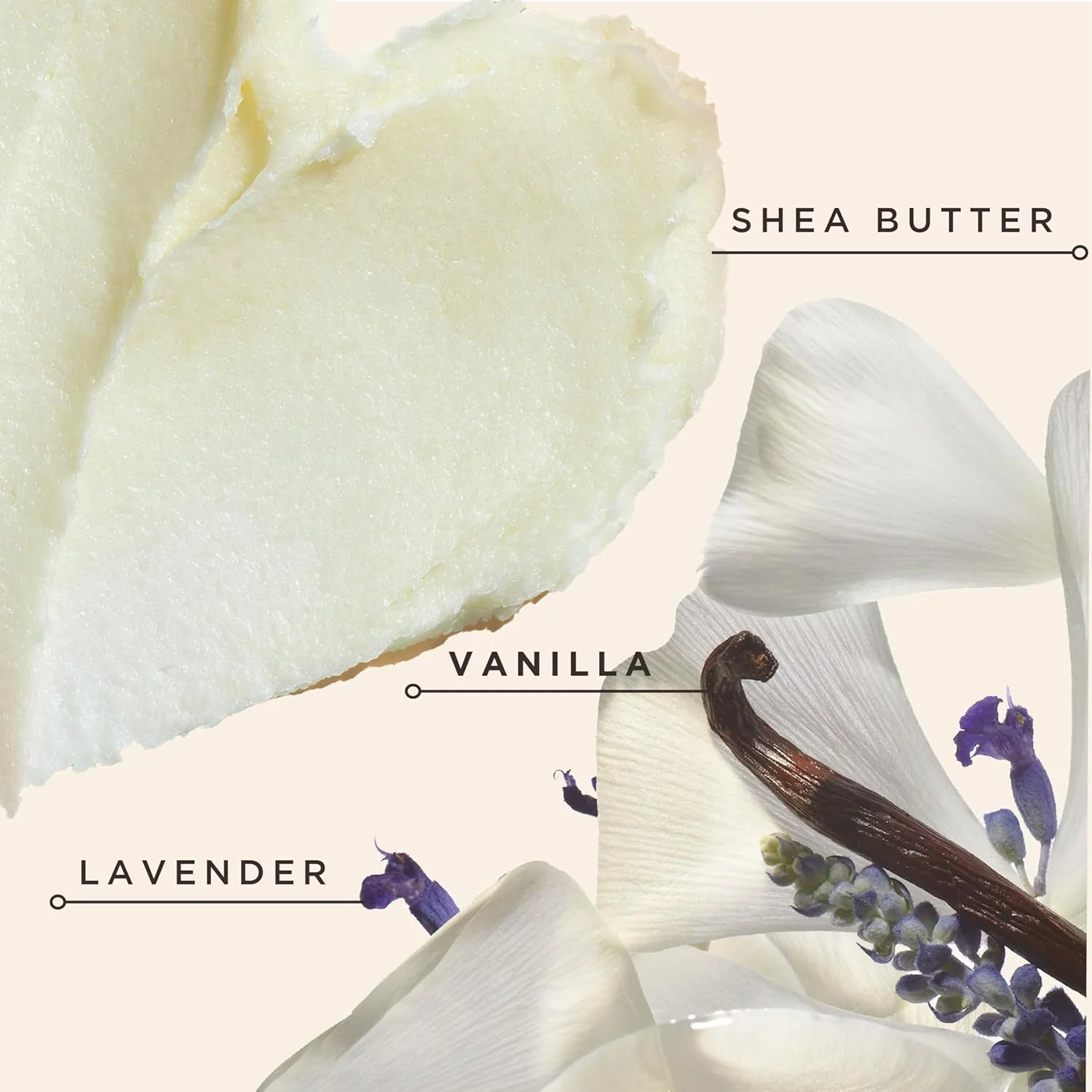 نرم کننده مو فاقد سولفات بلک وانیلا کارول داوتر، مناسب موهای فر، مجعد یا طبیعی، مراقبت مرطوب کننده مو برای موهای خشک و آسیب دیده، 355 میلی لیتر نرم کننده مو فاقد سولفات بلک وانیلا کارول داوتر، مناسب موهای فر، مجعد یا طبیعی، مراقبت مرطوب کننده مو برای موهای خشک و آسیب دیده، 355 میلی لیتر