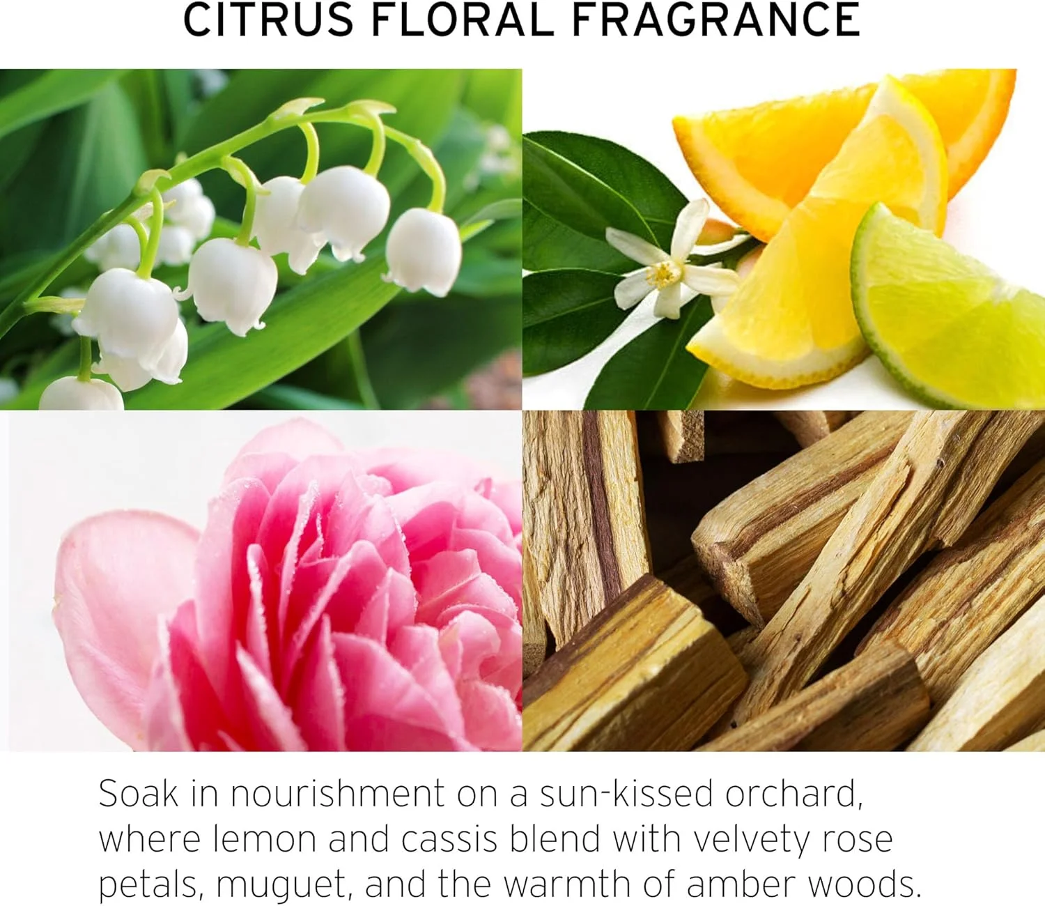 نرم کننده موهای رنگ شده فککای سری تکنسین کالر - 1 لیتر - افزایش شادابی موهای رنگ شده - کیفیت سالنی، سازگار با EWG، وگان و بدون تست حیوانی نرم کننده موهای رنگ شده فککای سری تکنسین کالر - 1 لیتر - افزایش شادابی موهای رنگ شده - کیفیت سالنی، سازگار با EWG، وگان و بدون تست حیوانی