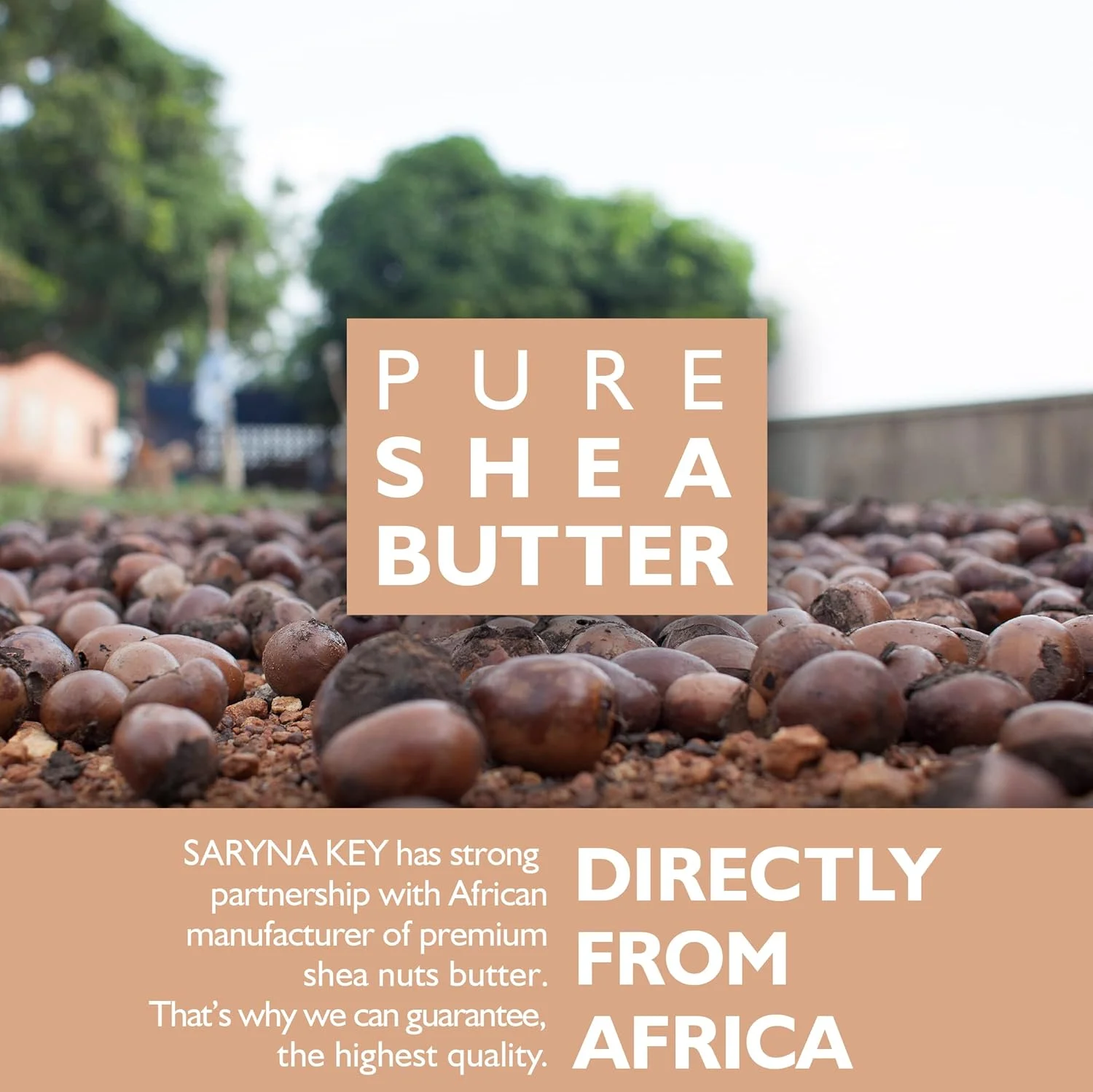 نرم کننده مو سارینا کی مدل Damage Repair LIGHT Shea - مناسب موهای نازک، کم حجم و شکننده، حجم دهنده سبک با شی باتر خالص آفریقایی 500 میلی لیتر نرم کننده مو سارینا کی مدل Damage Repair LIGHT Shea - مناسب موهای نازک، کم حجم و شکننده، حجم دهنده سبک با شی باتر خالص آفریقایی 500 میلی لیتر