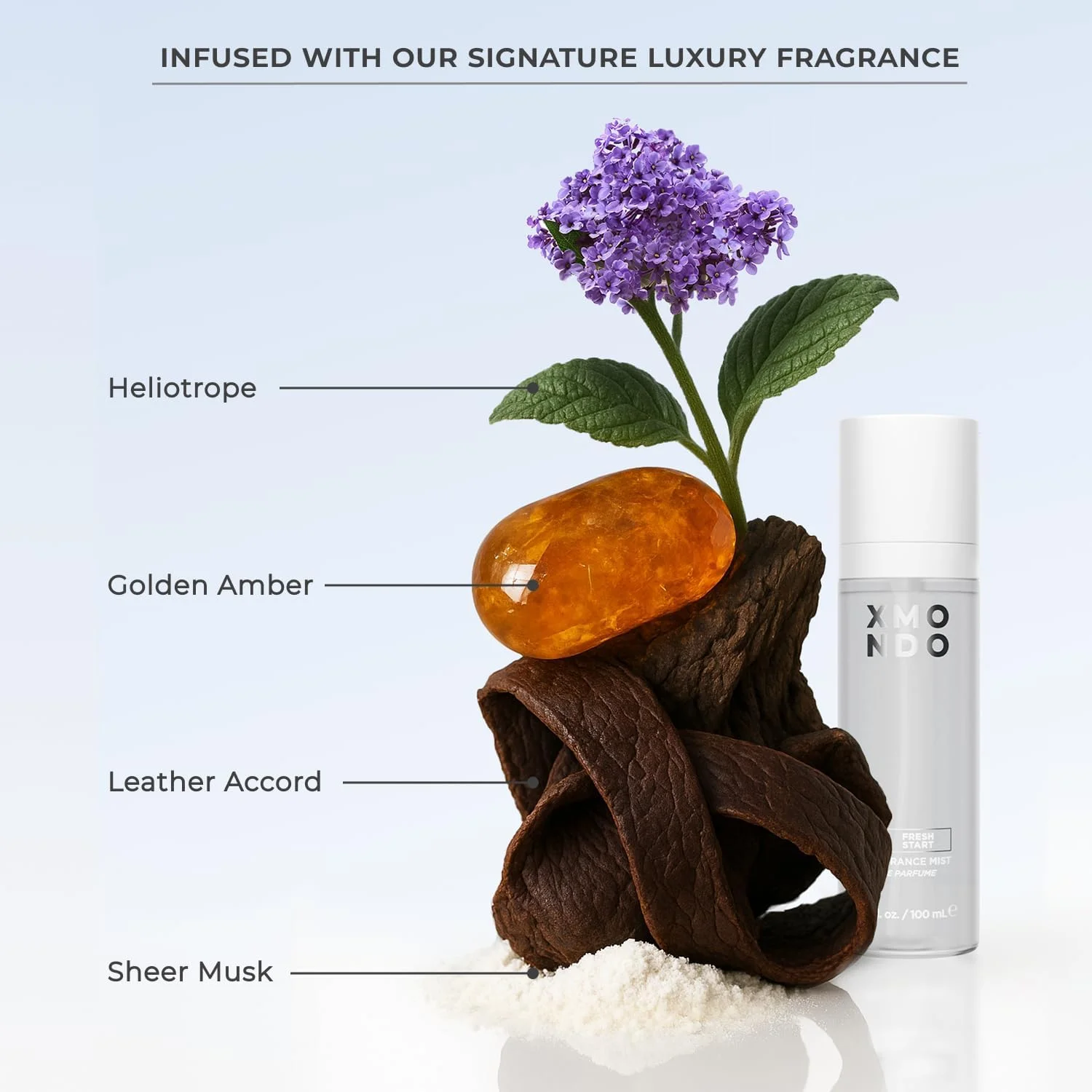 نرم کننده ترمیم کننده پیوند مو XMONDO | فرمول وگان با روغن ماراکوجا، اسید هیالورونیک و فناوری ایجاد پیوند برای احیا، ترمیم و آب بندی موهای خشک و آسیب دیده، 8 Fl Oz تک بسته نرم کننده ترمیم کننده پیوند مو XMONDO | فرمول وگان با روغن ماراکوجا، اسید هیالورونیک و فناوری ایجاد پیوند برای احیا، ترمیم و آب بندی موهای خشک و آسیب دیده، 8 Fl Oz تک بسته