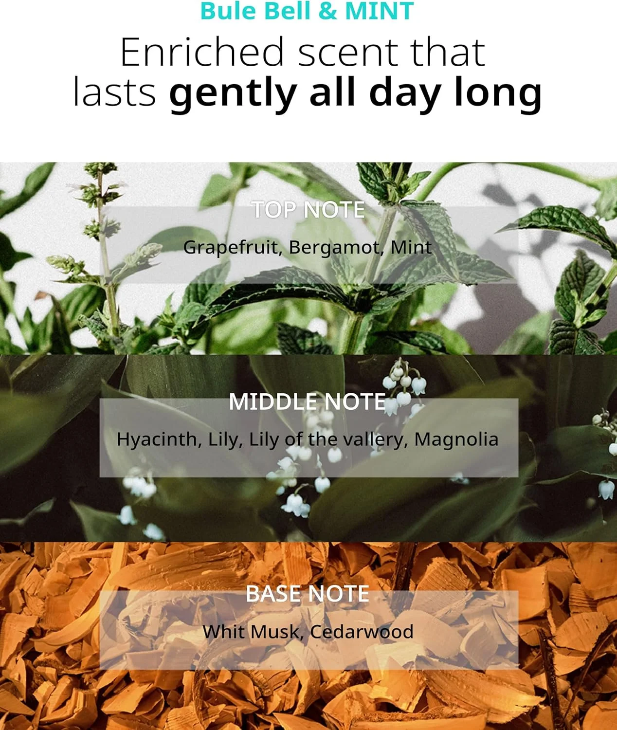 نرم کننده مو و طراوت بخش پوست سر FIT YOUR SKIN SAN TTEUT - نرم کننده معطر کراتین و پروتئین با pH 5.5 برای تسکین ریزش مو، شفاف سازی پوست سر، رایحه نعناع و مشک سفید - فاقد پارابن - 500 میلی لیتر نرم کننده مو و طراوت بخش پوست سر FIT YOUR SKIN SAN TTEUT - نرم کننده معطر کراتین و پروتئین با pH 5.5 برای تسکین ریزش مو، شفاف سازی پوست سر، رایحه نعناع و مشک سفید - فاقد پارابن - 500 میلی لیتر