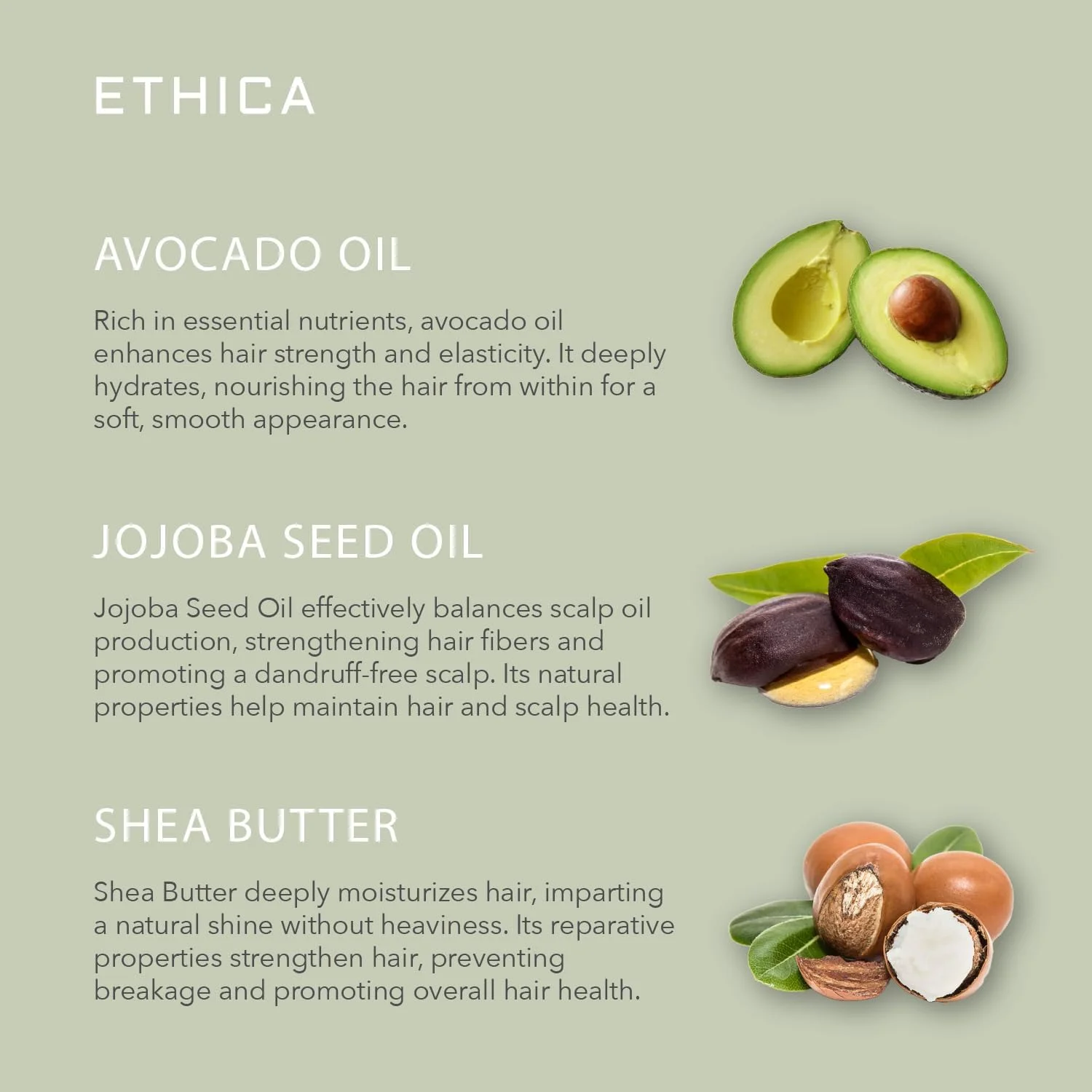 اتیکا بیوتی - نرم کننده ضد پیری | محافظت از مو در برابر اشعه ماوراء بنفش، الکتریسیته ساکن، آلودگی های گرد و غبار، رطوبت و کنترل وز مو. فاقد سولفات، پارابن و گلوتن | 500 میلی لیتر اتیکا بیوتی - نرم کننده ضد پیری | محافظت از مو در برابر اشعه ماوراء بنفش، الکتریسیته ساکن، آلودگی های گرد و غبار، رطوبت و کنترل وز مو. فاقد سولفات، پارابن و گلوتن | 500 میلی لیتر