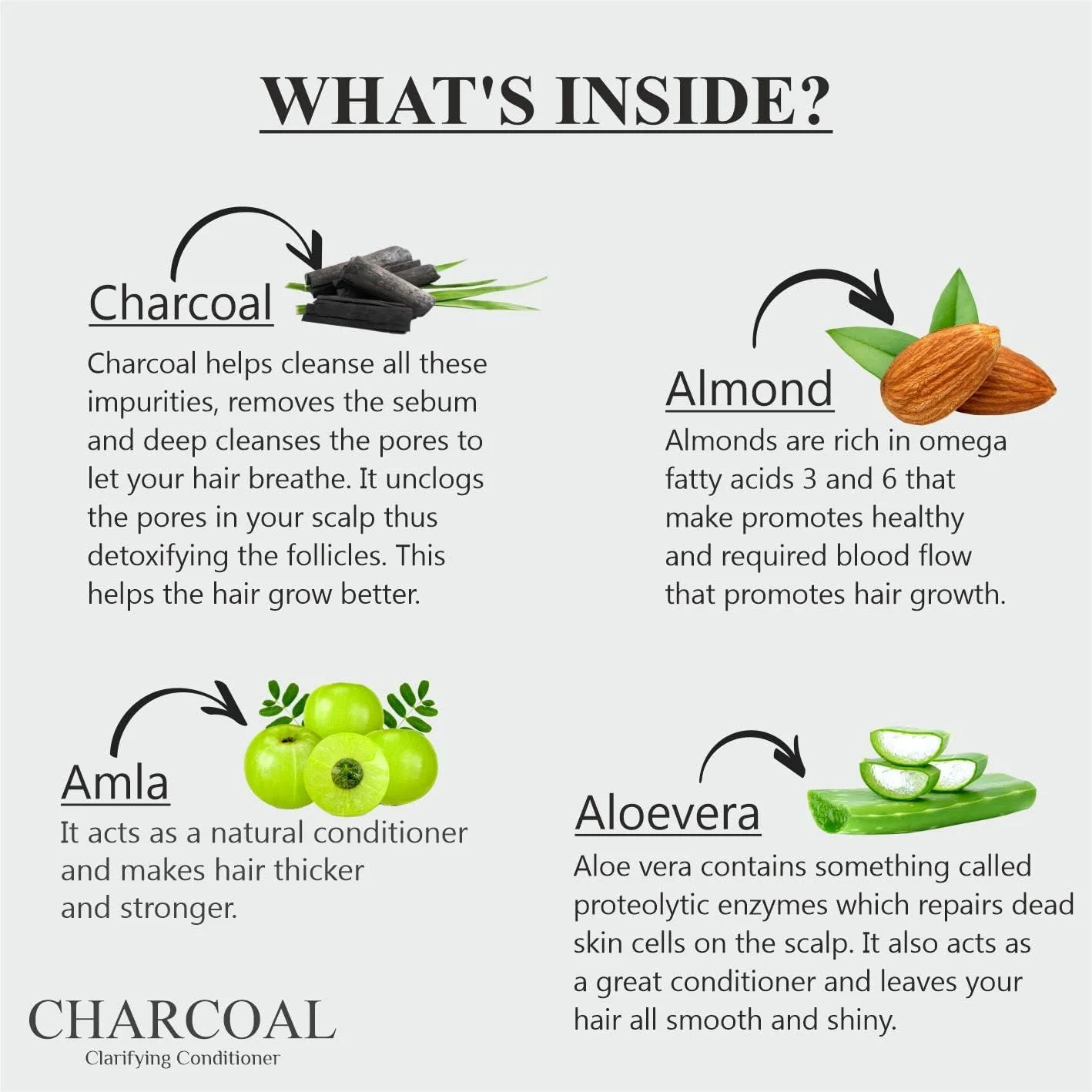 نرم کننده زغال فعال پاک کننده گلوبوس نچرالز | بدون پارابن | برای مو و پوست سر چرب (250 میلی لیتر)