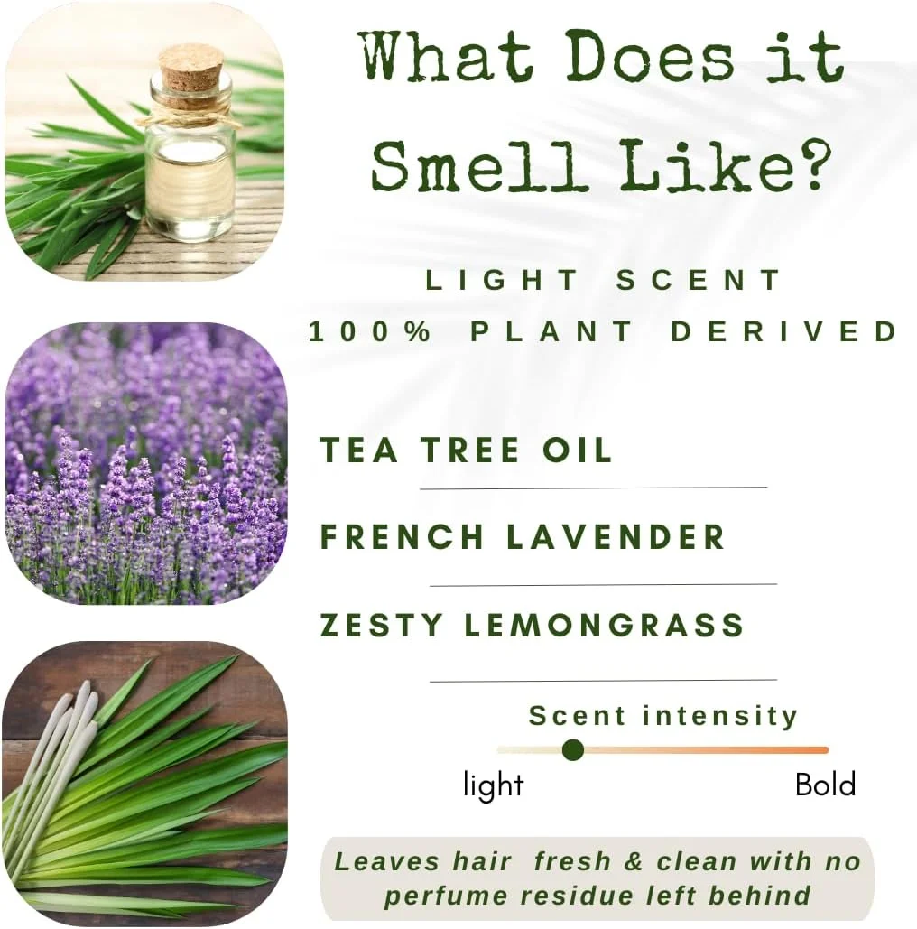 نرم کننده موی سر جامد معطر طبیعی /liv/، بدون سولفات برای موهای چرب، مواد طبیعی، علف لیمو، اسطوخودوس و روغن درخت چای، نرم کننده موی سر بدون پلاستیک مناسب مسافرت، درخت چای و علف لیمو (تک بسته) نرم کننده موی سر جامد معطر طبیعی /liv/، بدون سولفات برای موهای چرب، مواد طبیعی، علف لیمو، اسطوخودوس و روغن درخت چای، نرم کننده موی سر بدون پلاستیک مناسب مسافرت، درخت چای و علف لیمو (تک بسته)